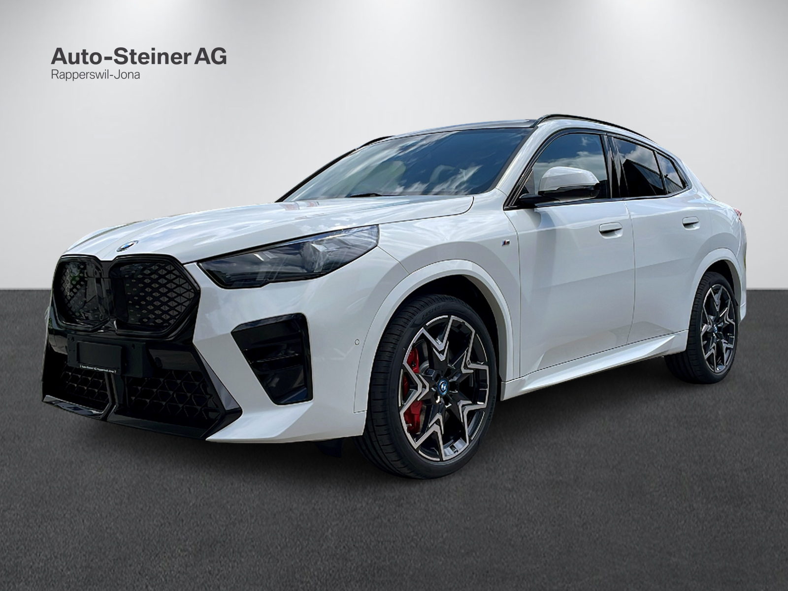 BMW iX2 xDrive 30 M Sport Pro-image-0