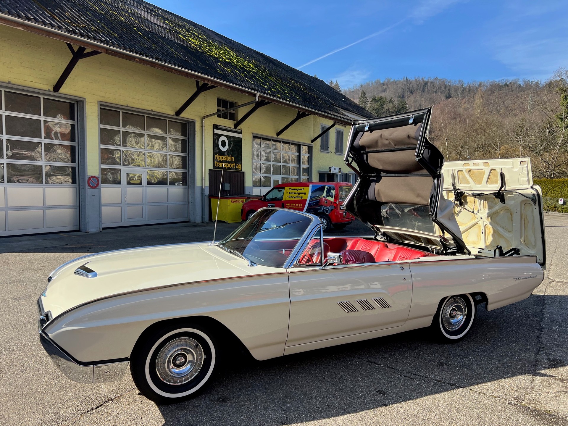 FORD Thunderbird Sports Roadster-image-6