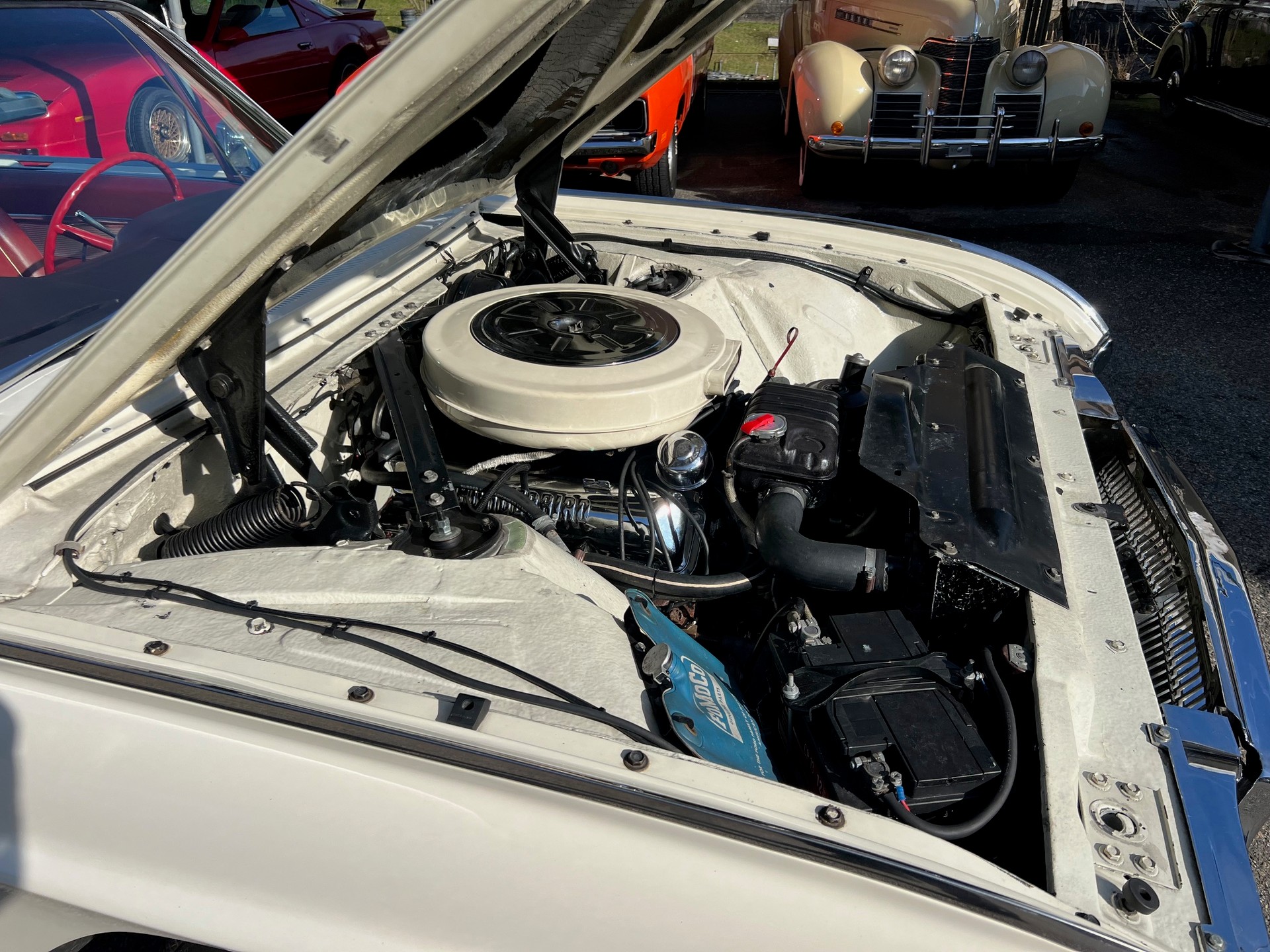 FORD Thunderbird Sports Roadster-image-12