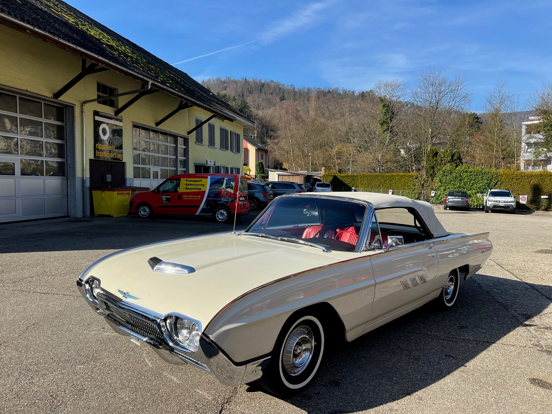 FORD Thunderbird Sports Roadster-image-8