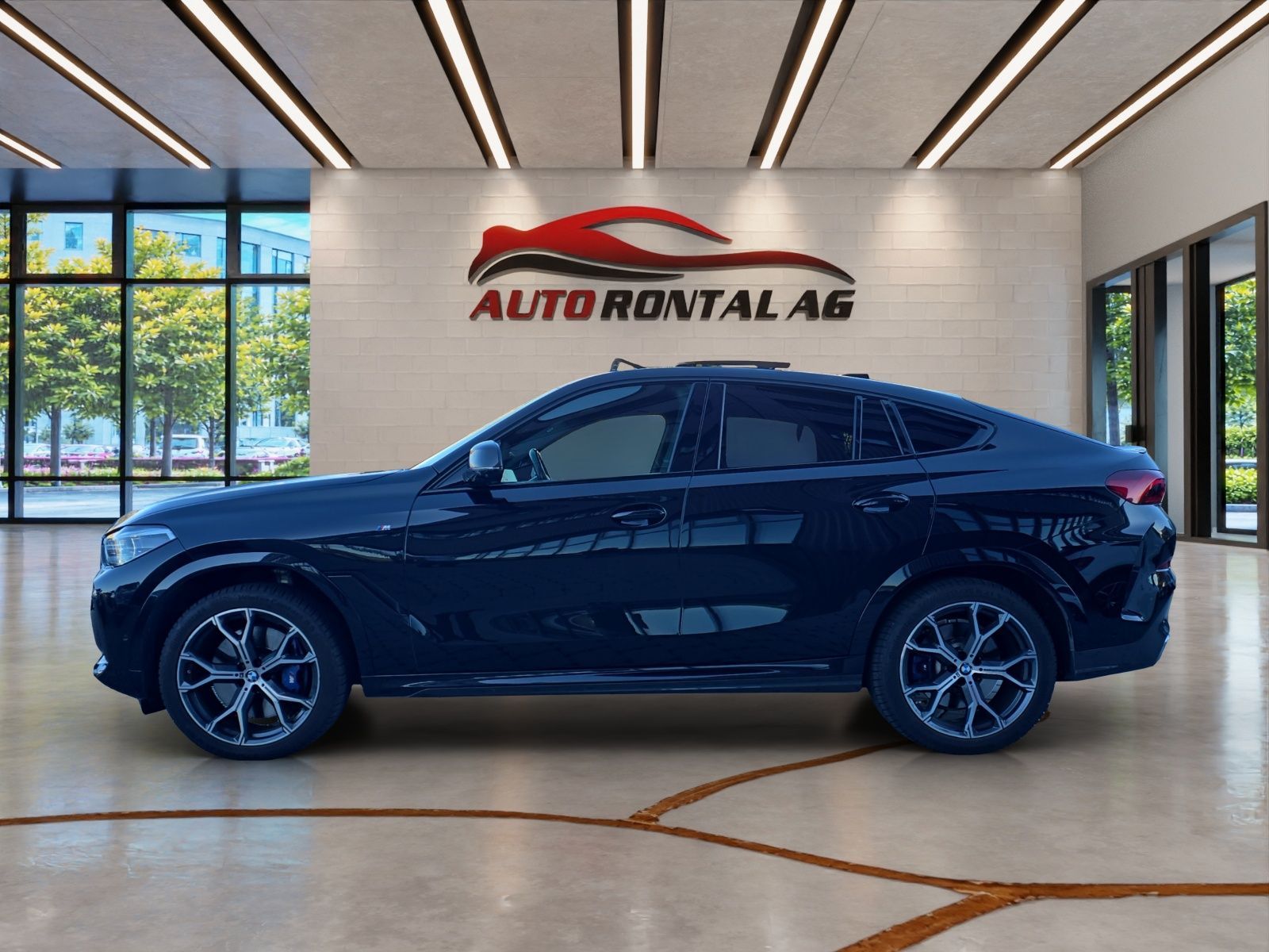 BMW X6 xDrive 48V 40d Steptronic-image-3