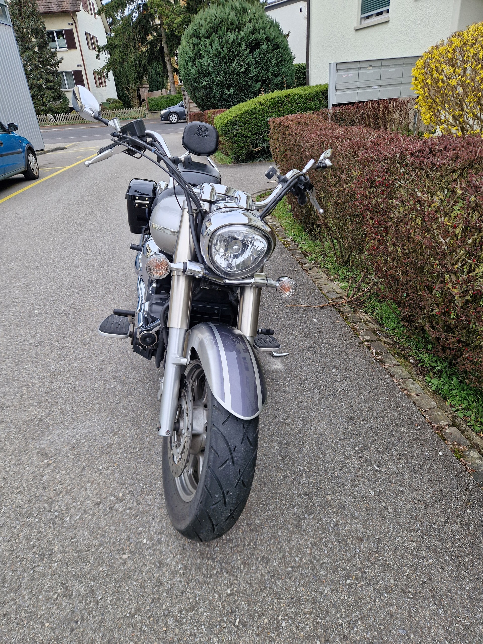 YAMAHA XVS 1300 A Midnight Star-image-3