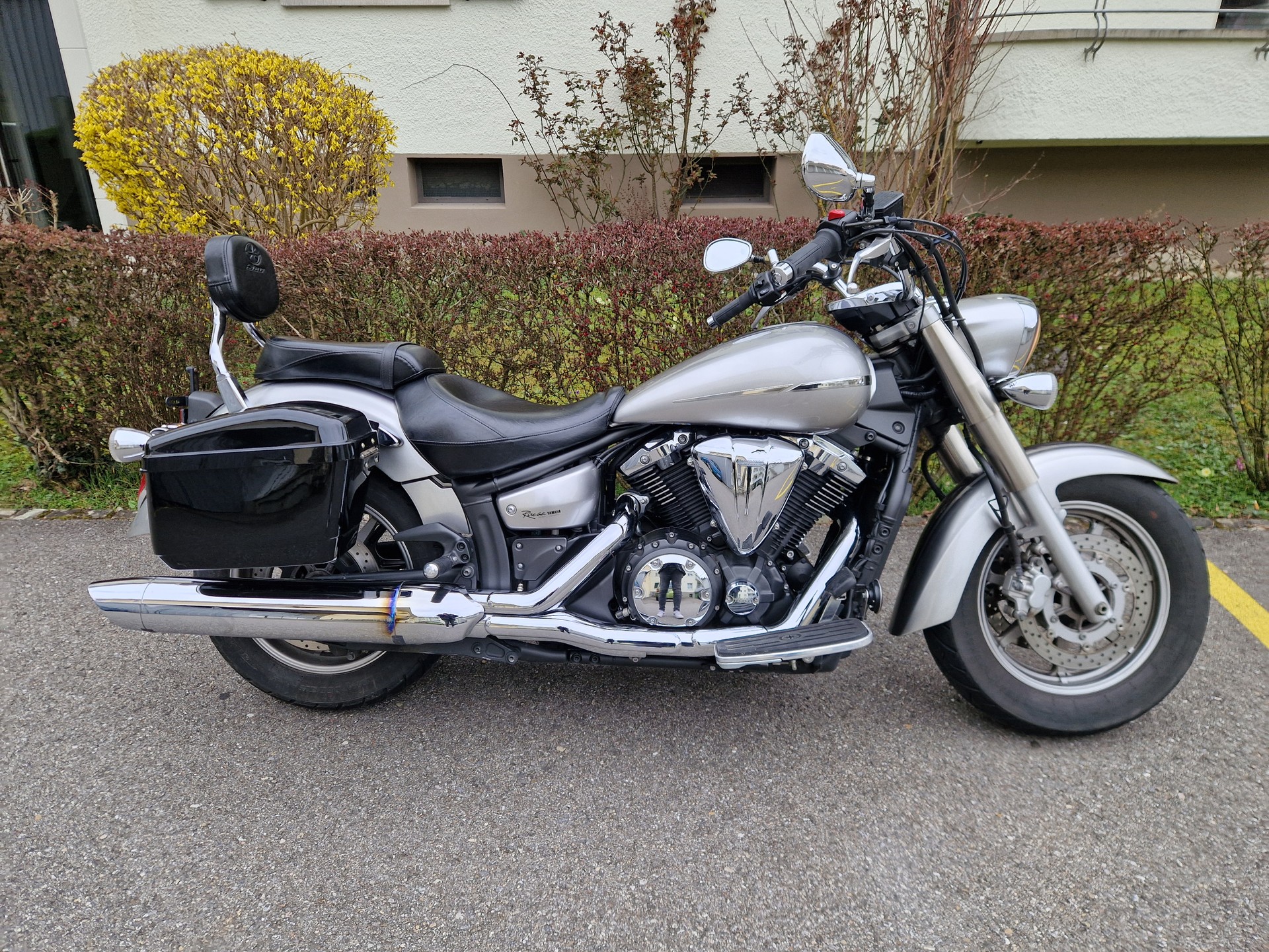 YAMAHA XVS 1300 A Midnight Star-image-2