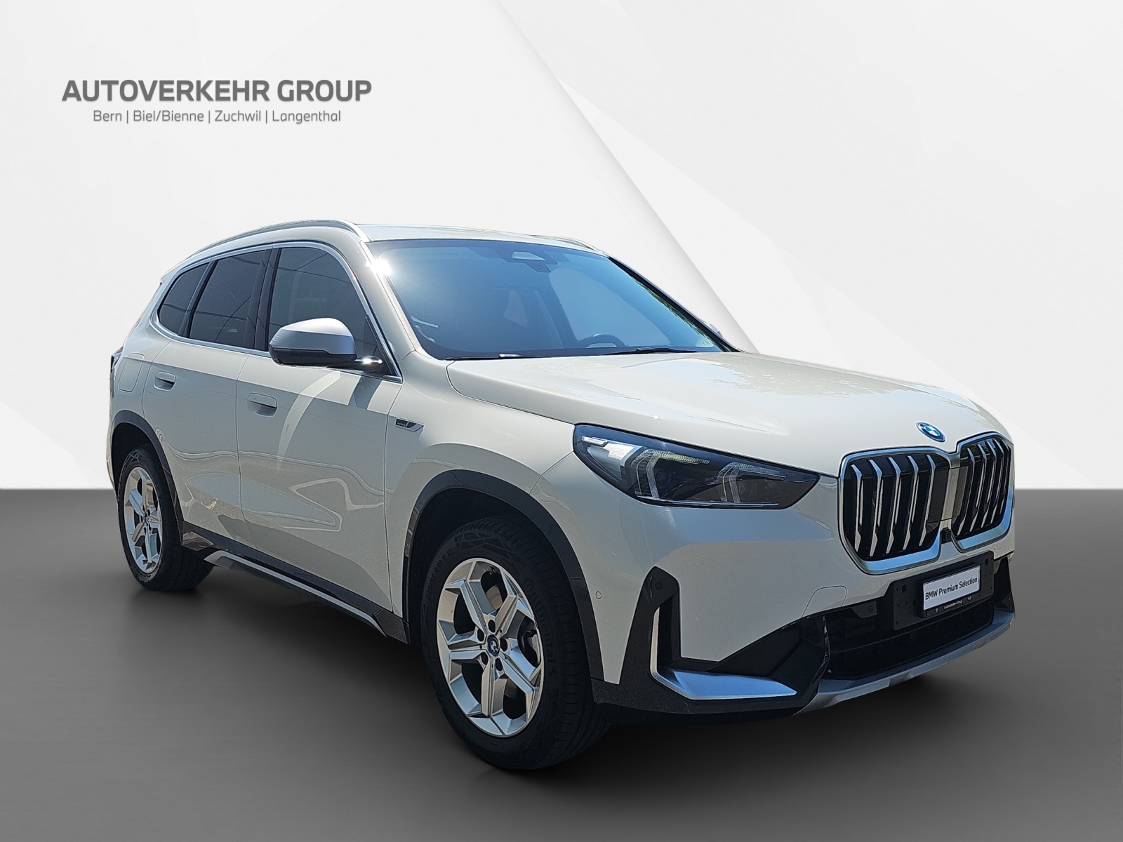 BMW X1 xDrive 25e xLine-image-8