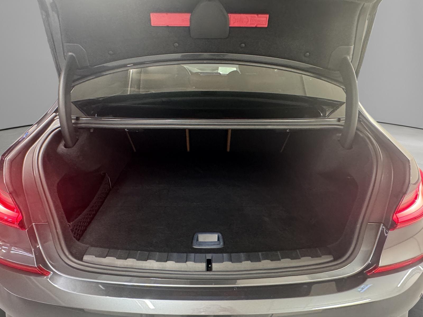 BMW 320e SAG-image-9