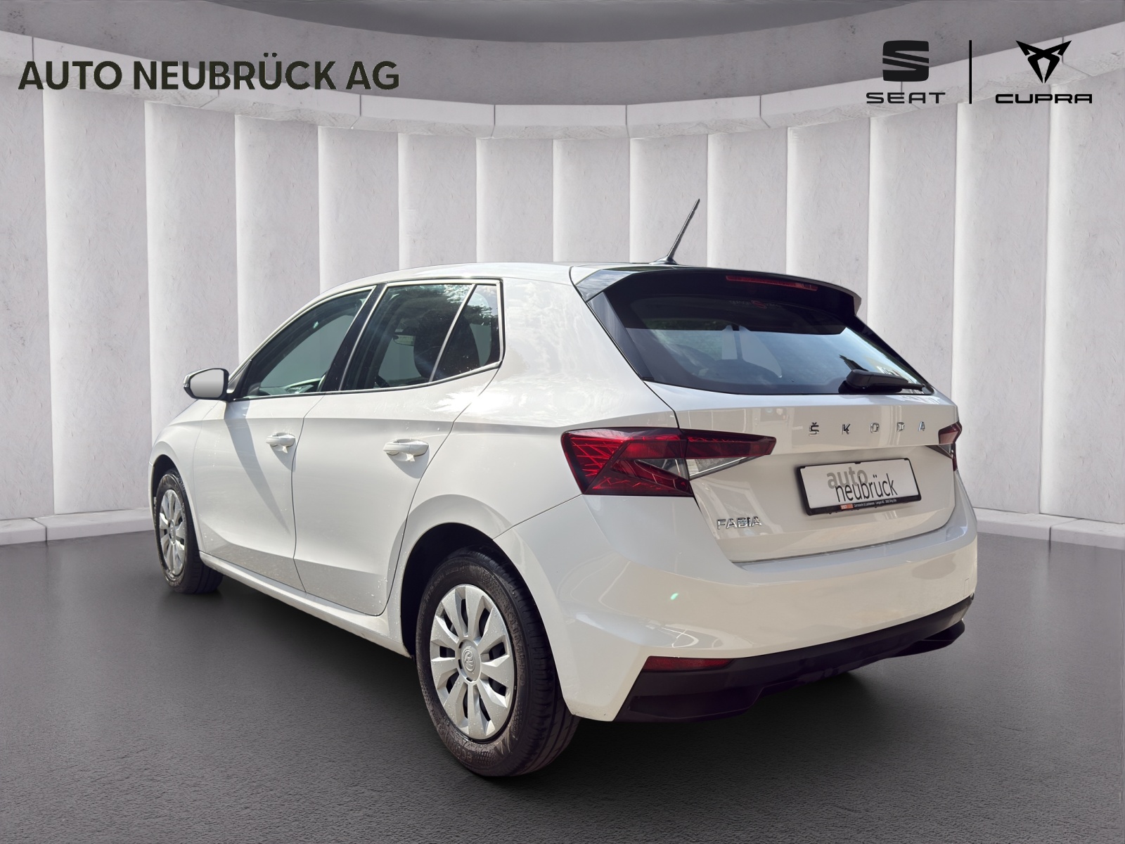 SKODA Fabia 1.0 TSI Ambition DSG-image-1