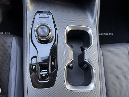 LEXUS RZ 550e 77 KW F Sport-image-12