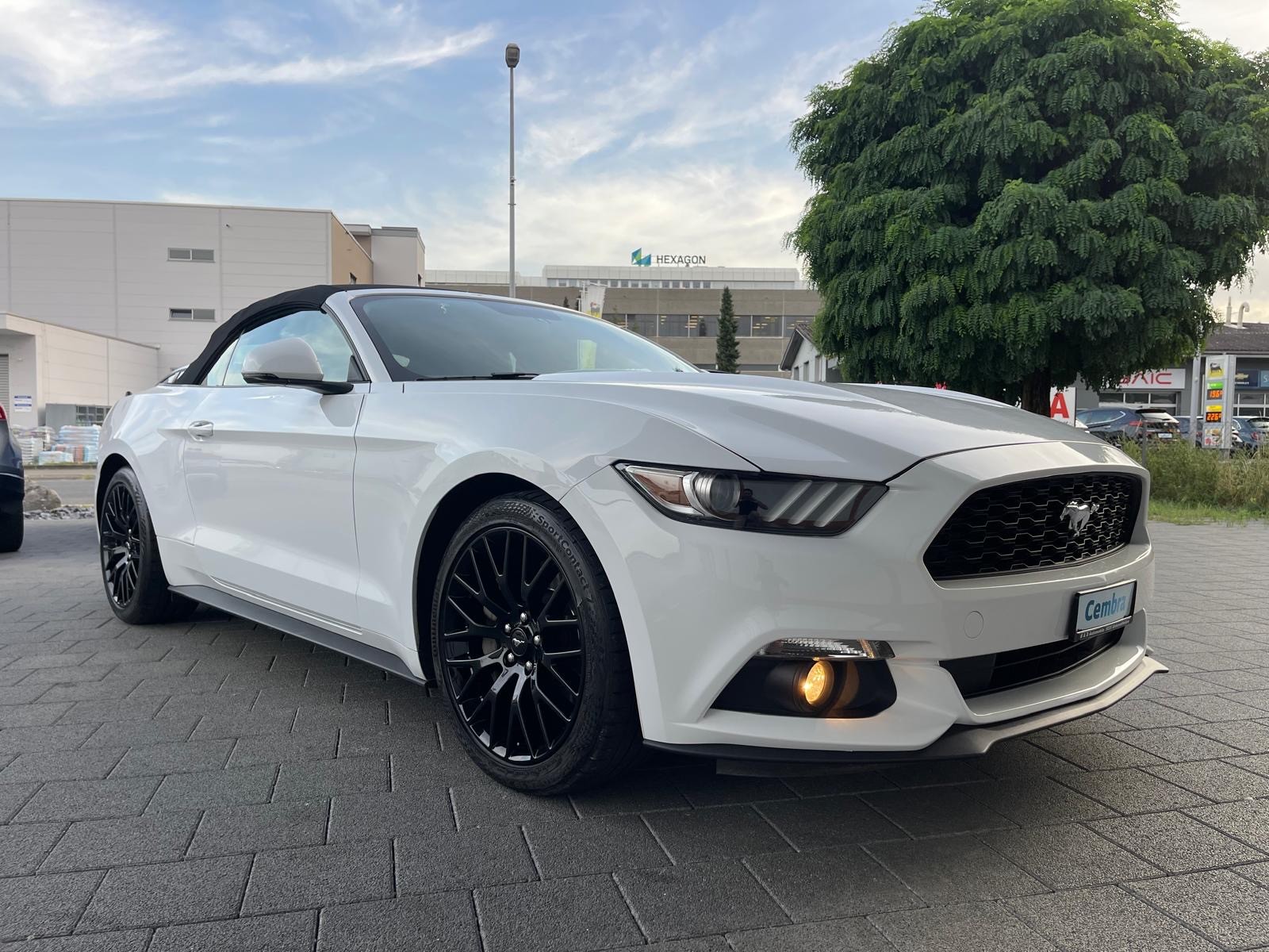 FORD Mustang Convertible 2.3 Automat-image-2