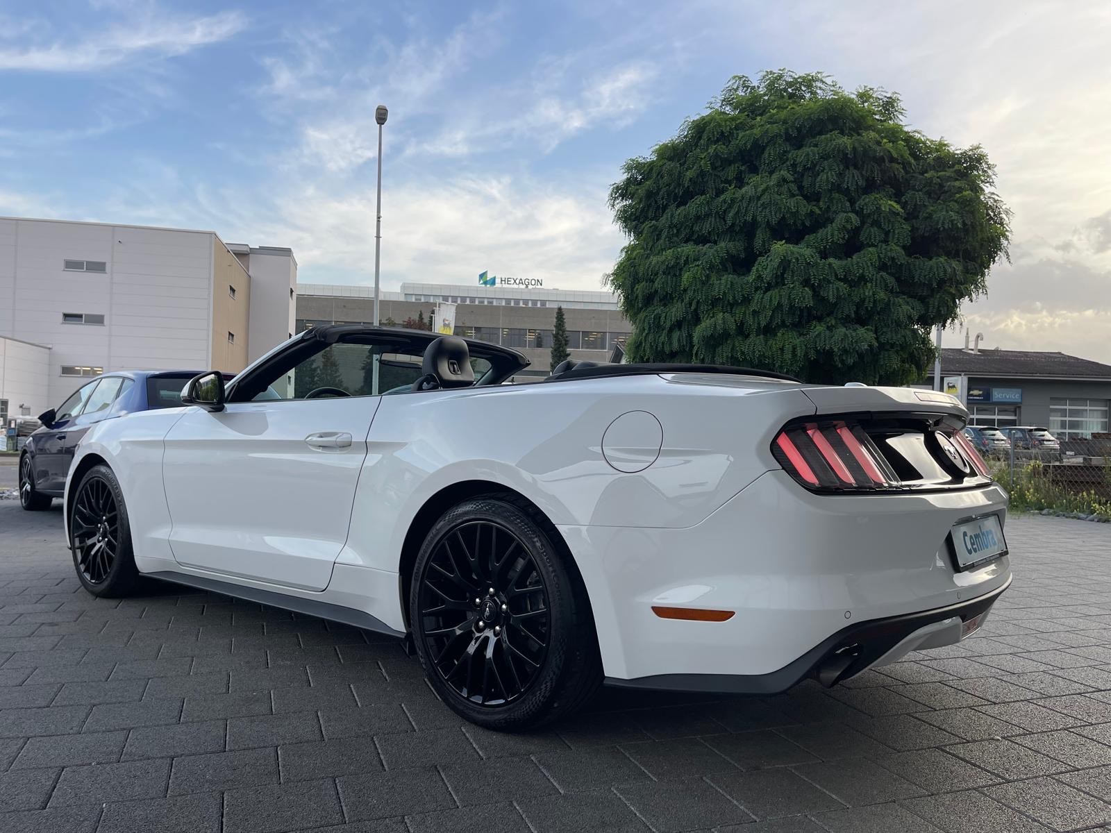 FORD Mustang Convertible 2.3 Automat-image-7