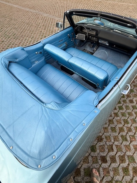 BUICK SKYLARK-image-5