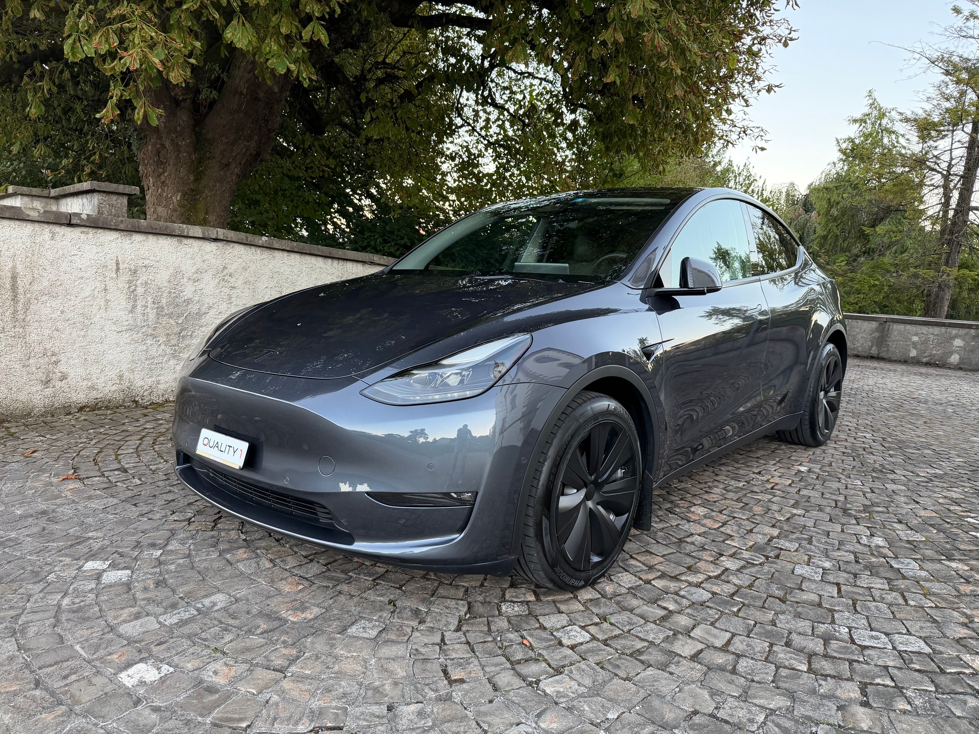 TESLA Model Y Long Range 4x4 / Frisch ab MFK / Werksgarantie/ / Enhanced Autopilot /Premium Innenraum / Navi / Panorama / Matrix LED-image-0