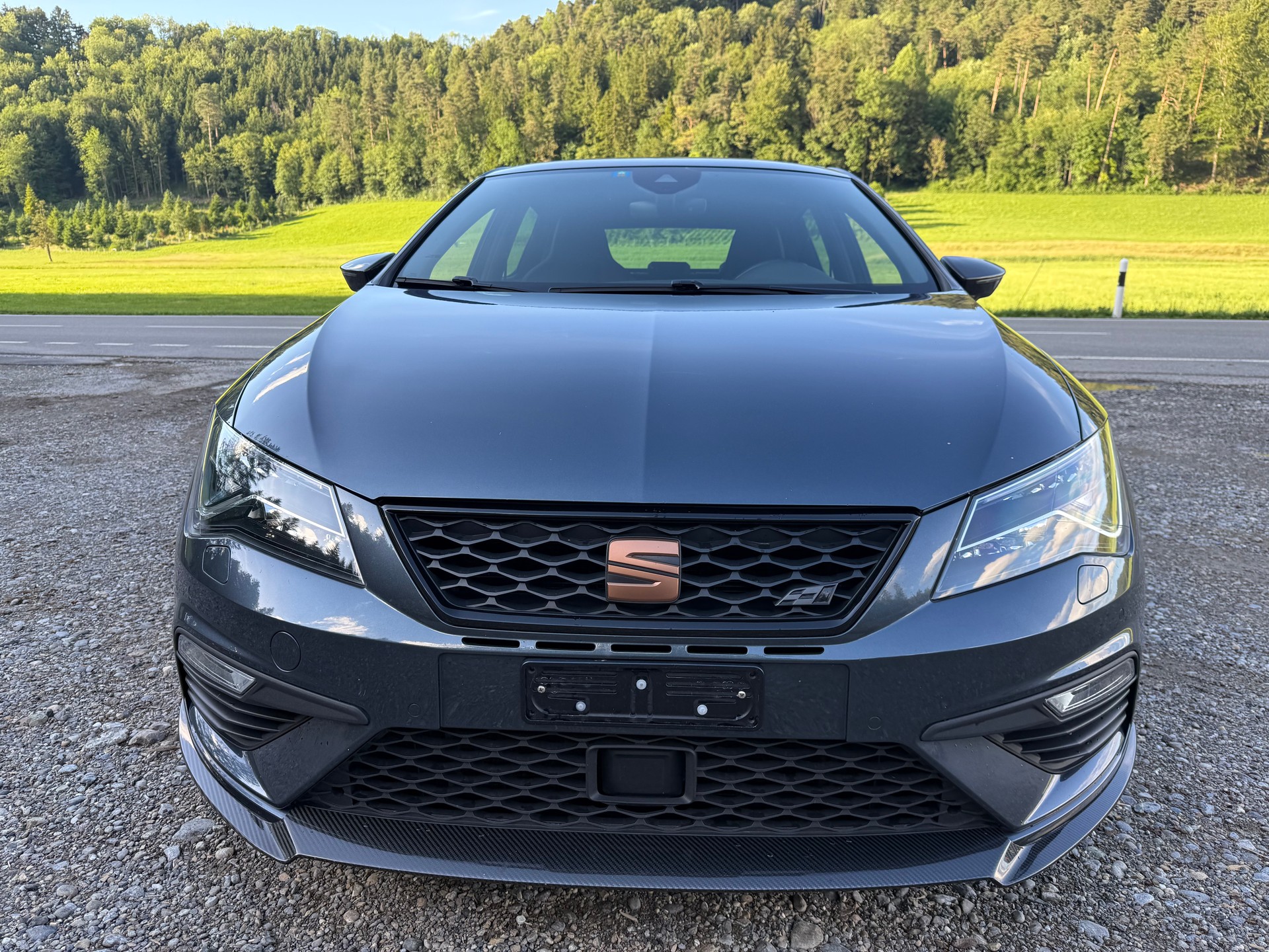 SEAT Leon 2.0 TSI SWISS Cupra 290 DSG-showroom-element-2