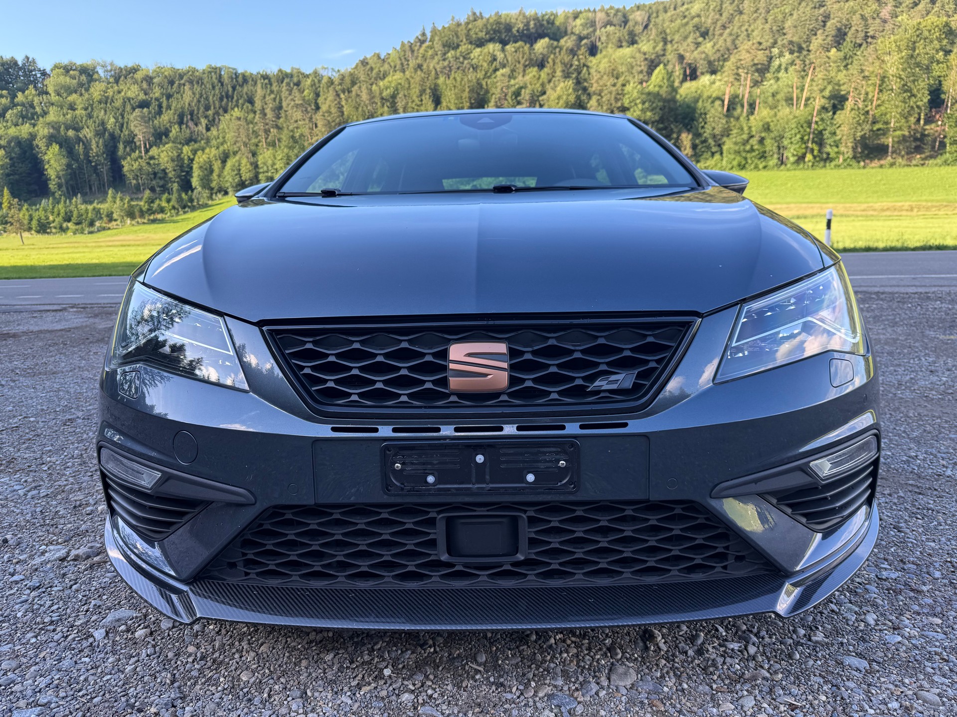 SEAT Leon 2.0 TSI SWISS Cupra 290 DSG-image-28