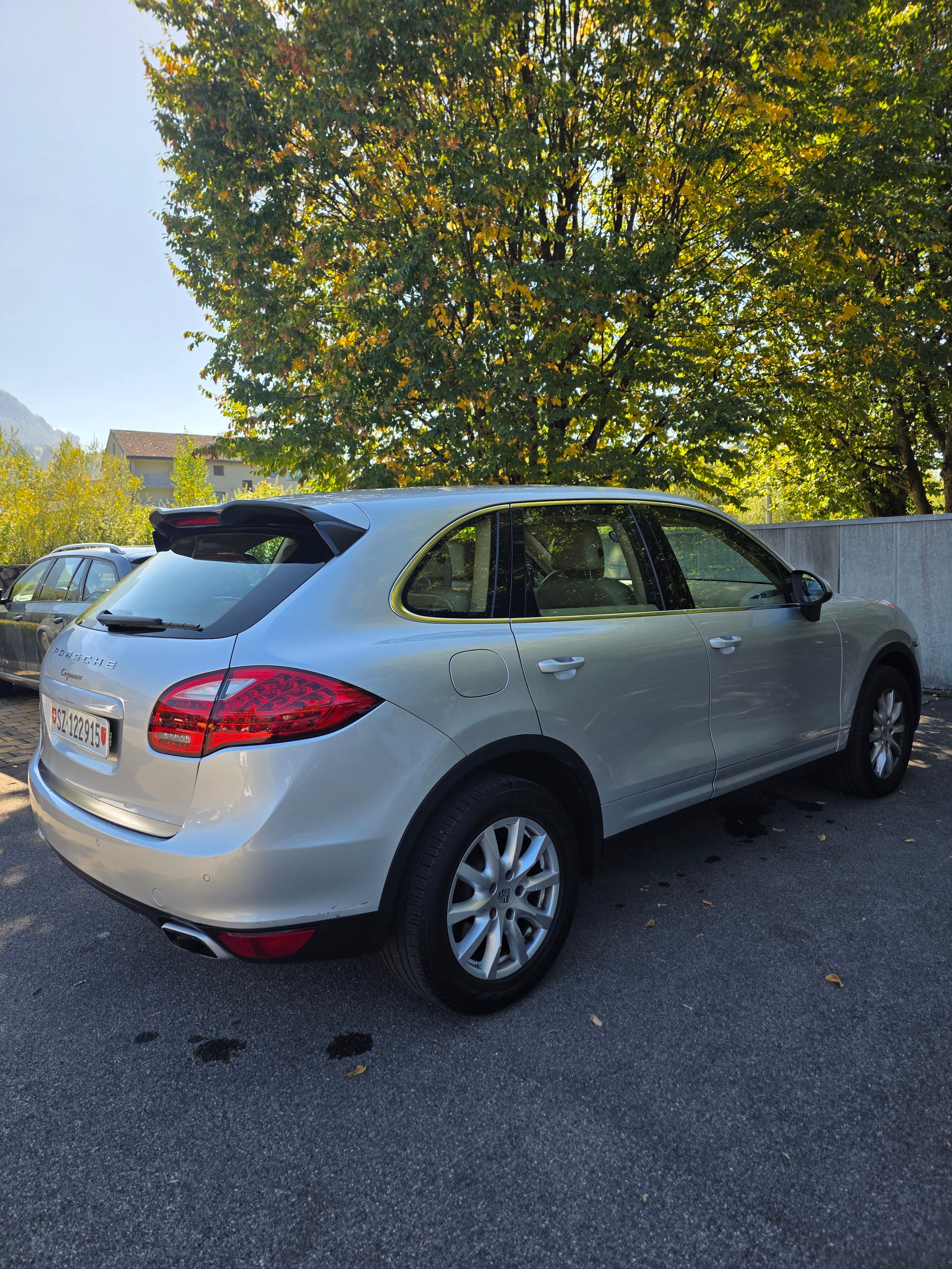 PORSCHE CAYENNE-image-2