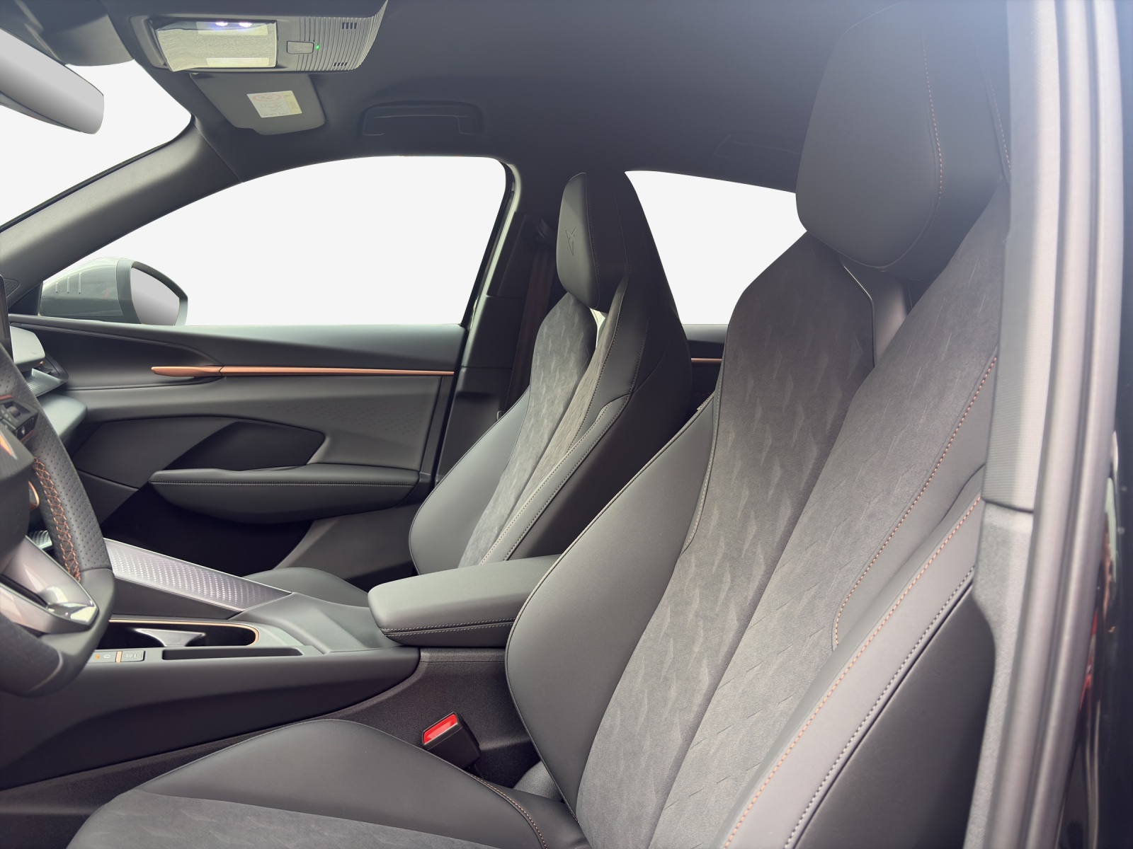 CUPRA Terramar 2.0 TSI DSG 4Drive-image-15