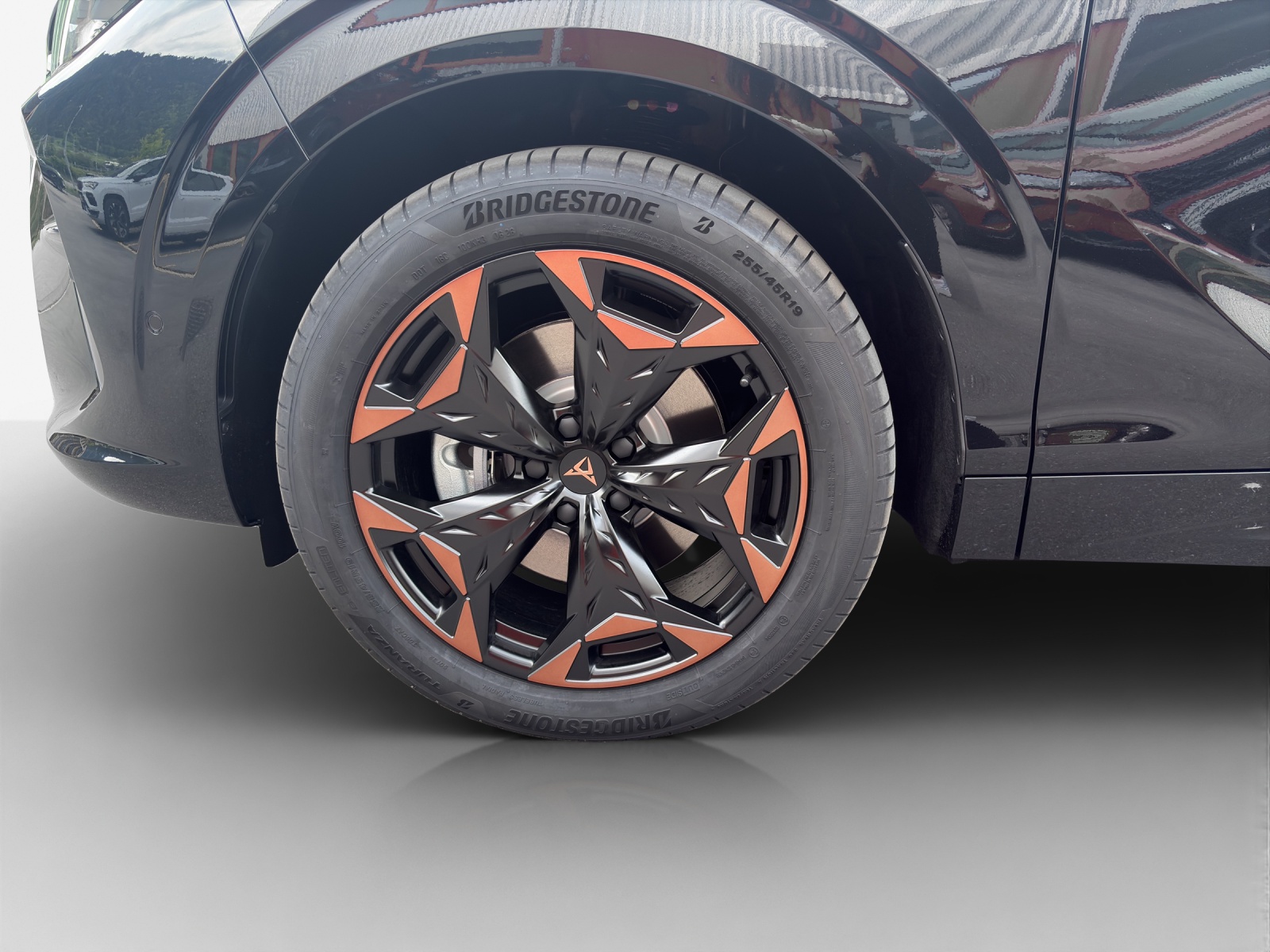 CUPRA Terramar 2.0 TSI DSG 4Drive-image-14