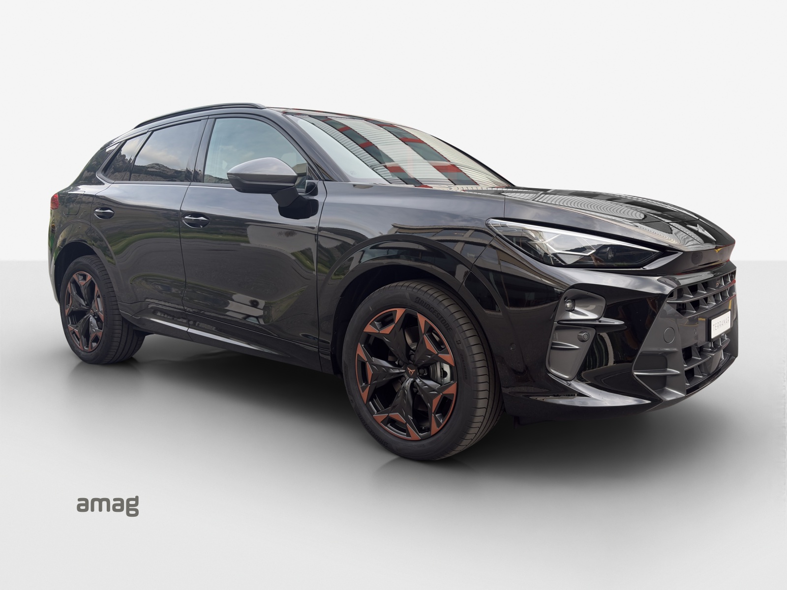 CUPRA Terramar 2.0 TSI DSG 4Drive-image-5