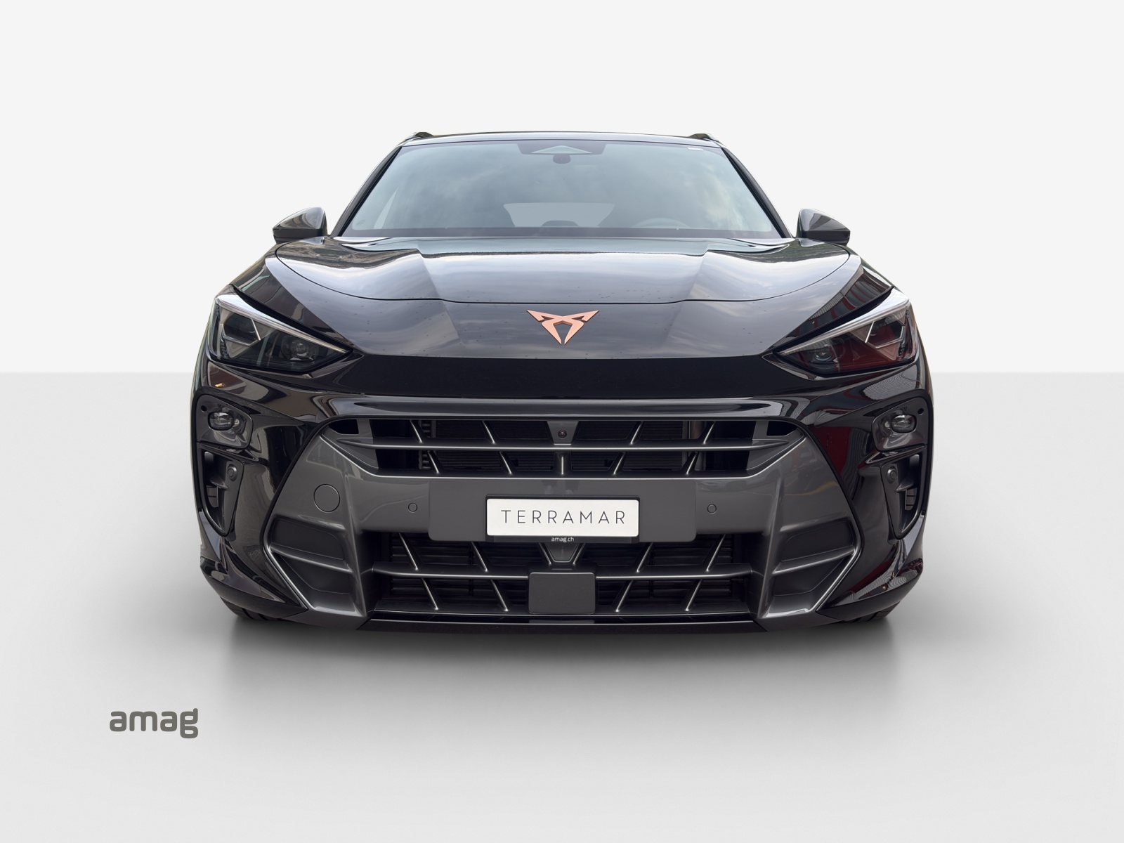 CUPRA Terramar 2.0 TSI DSG 4Drive-image-6