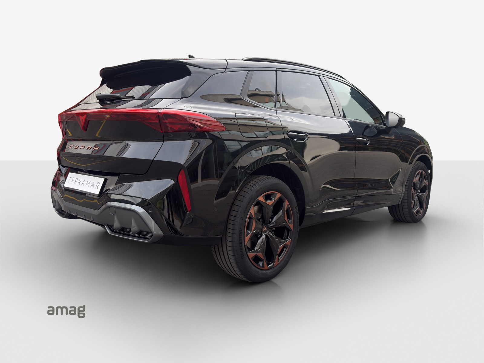 CUPRA Terramar 2.0 TSI DSG 4Drive-image-4