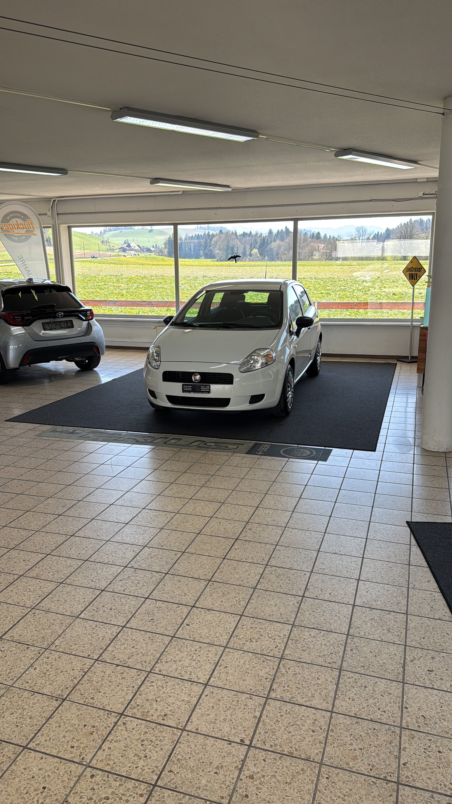 FIAT PUNTO-image-3