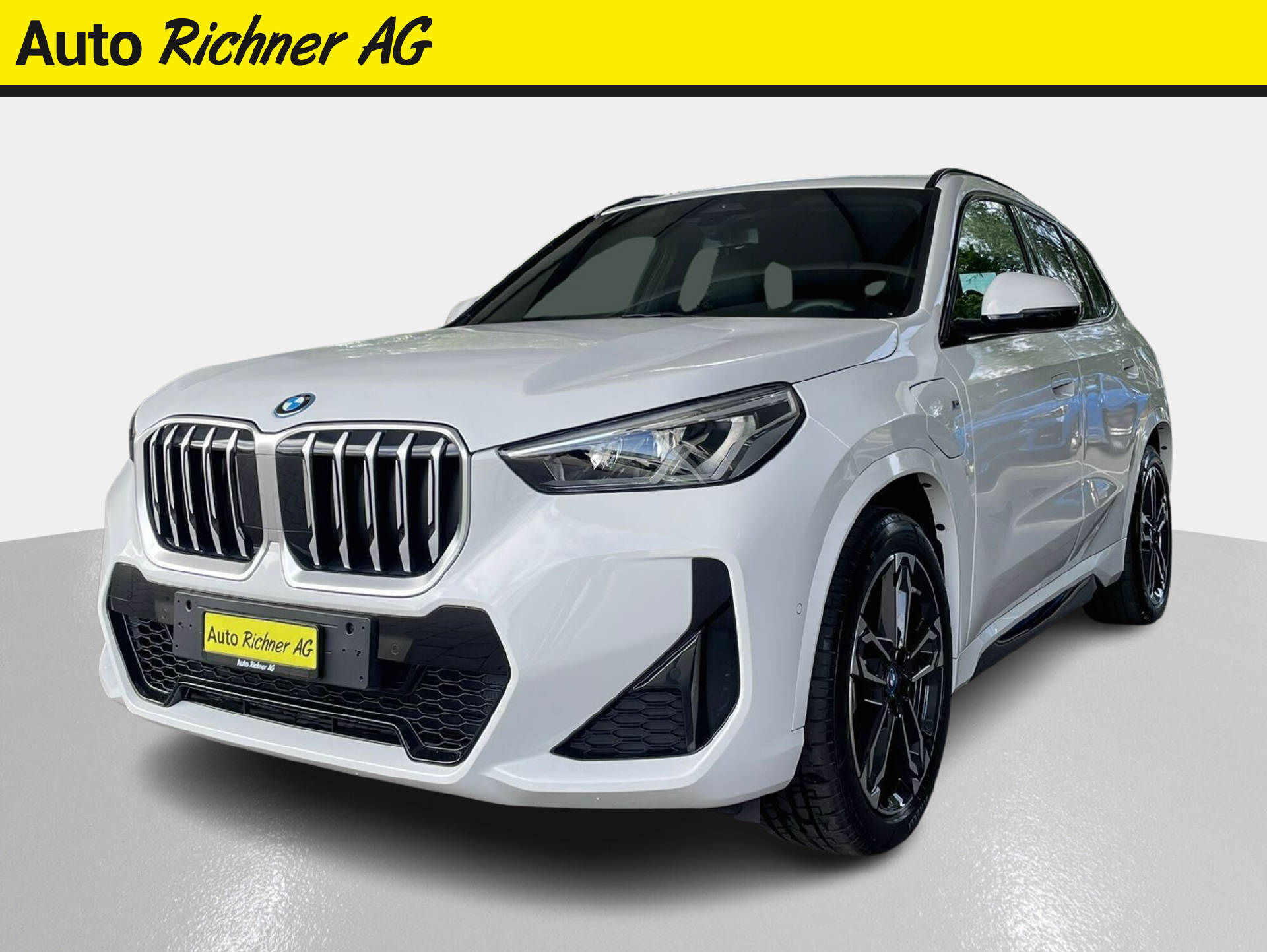 BMW X1 25e xDrive paddles-image-1