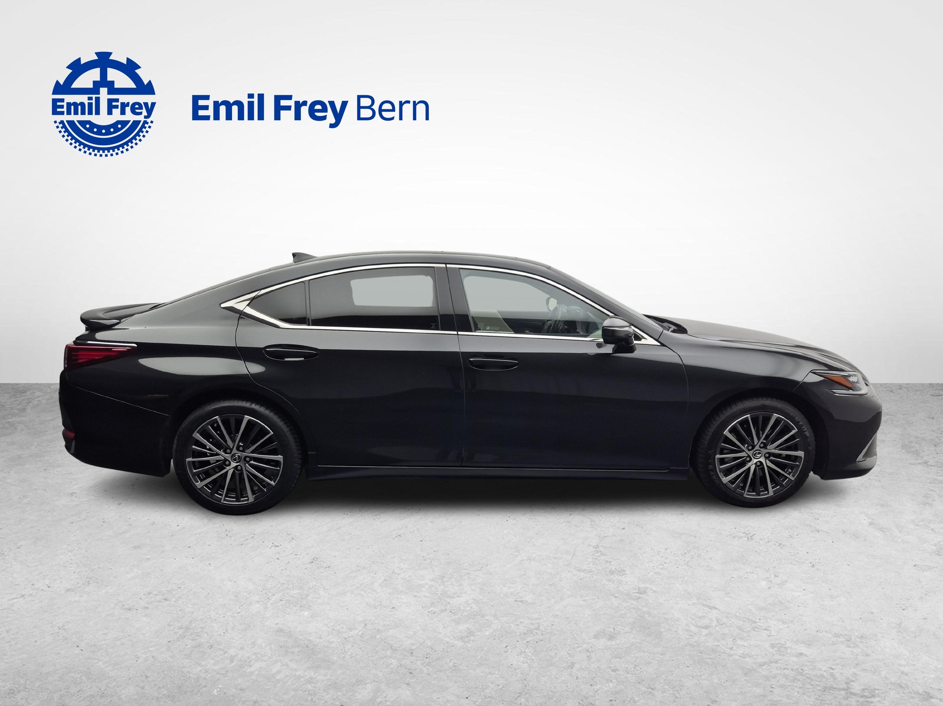 LEXUS ES 300h Excellence-image-5
