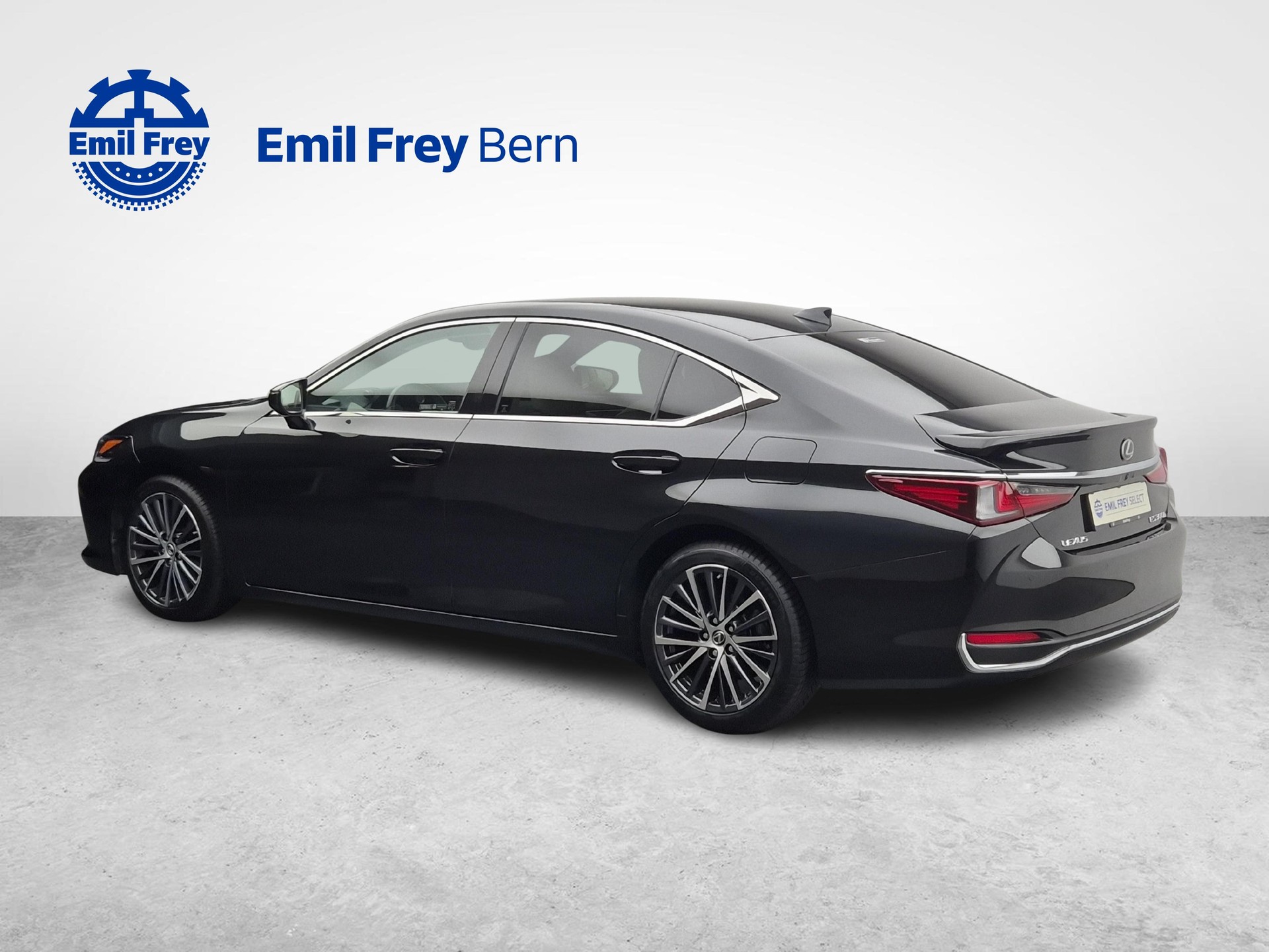 LEXUS ES 300h Excellence-image-8