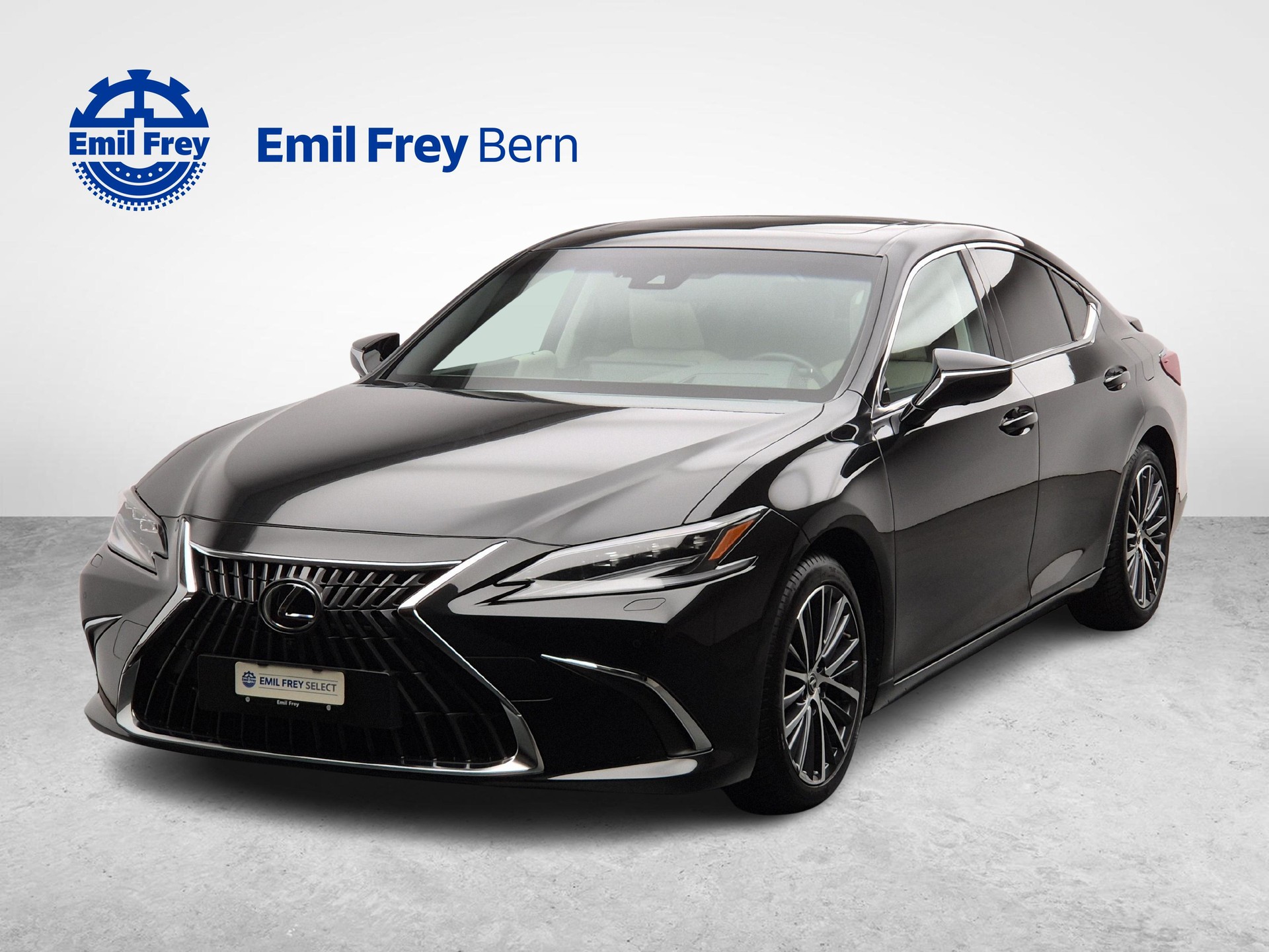 LEXUS ES 300h Excellence-image-0