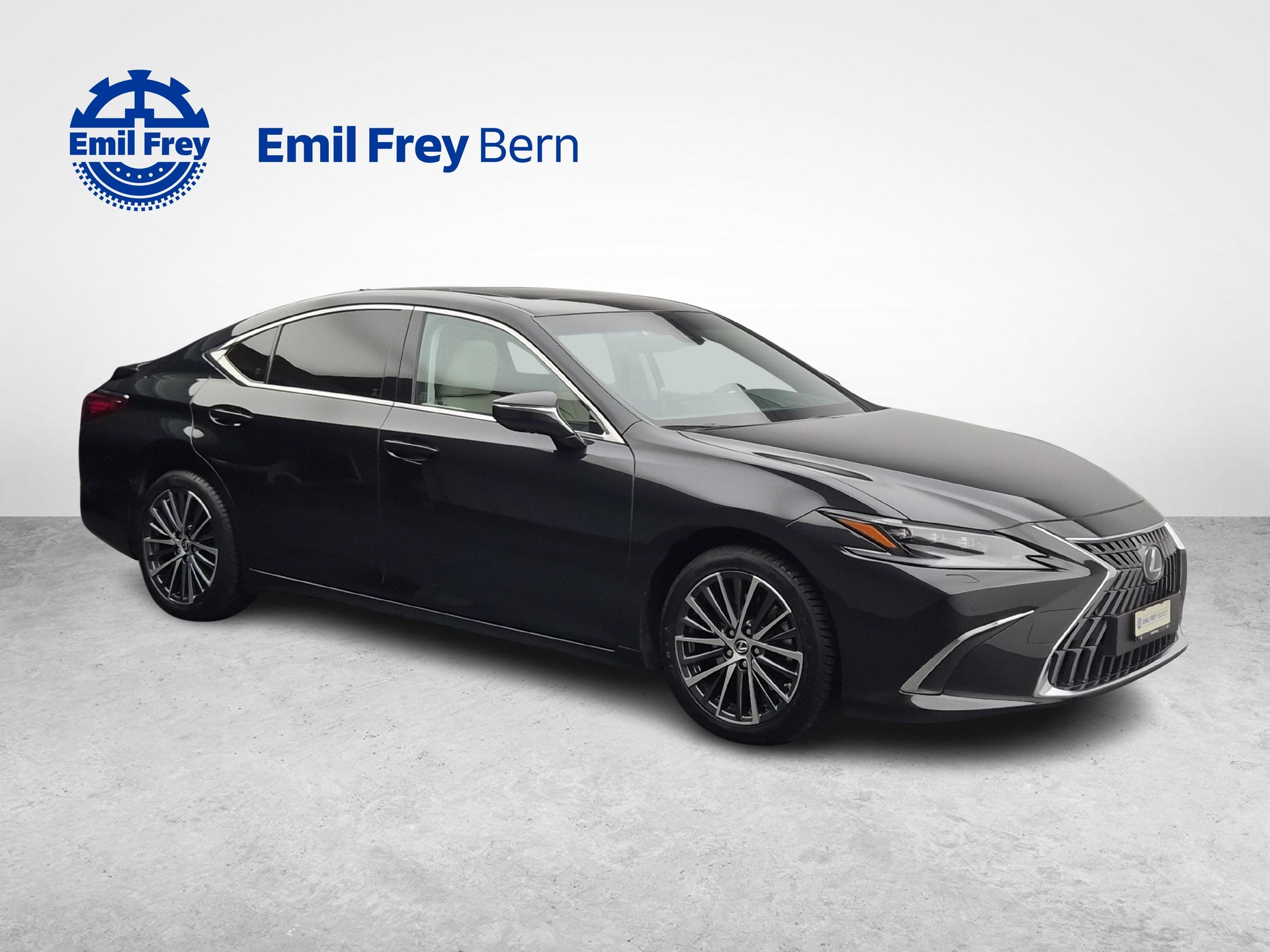 LEXUS ES 300h Excellence-image-4