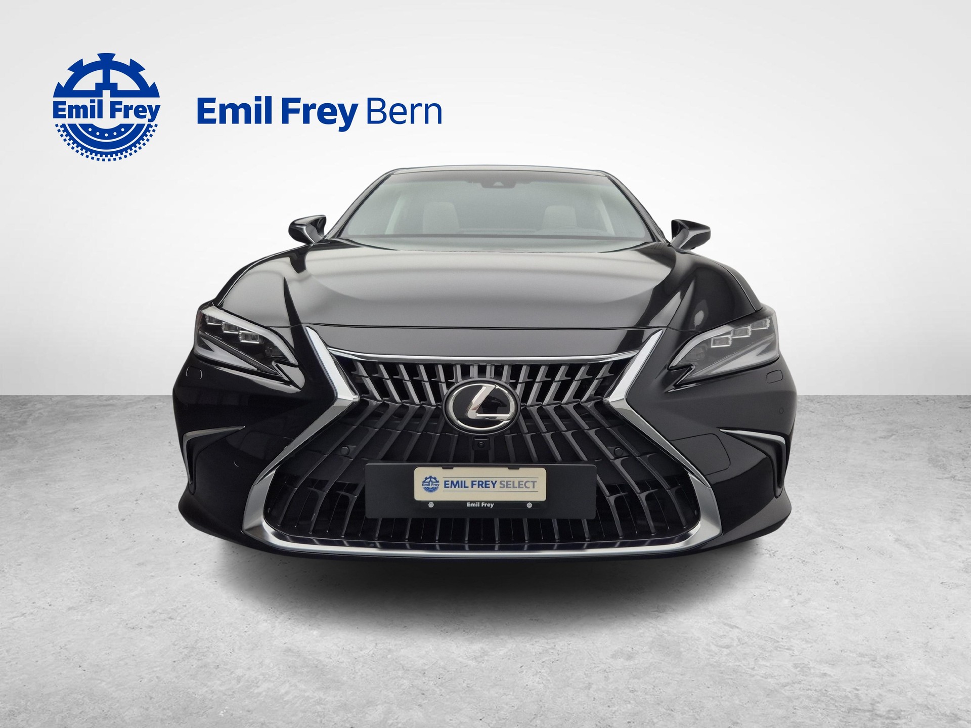 LEXUS ES 300h Excellence-image-10