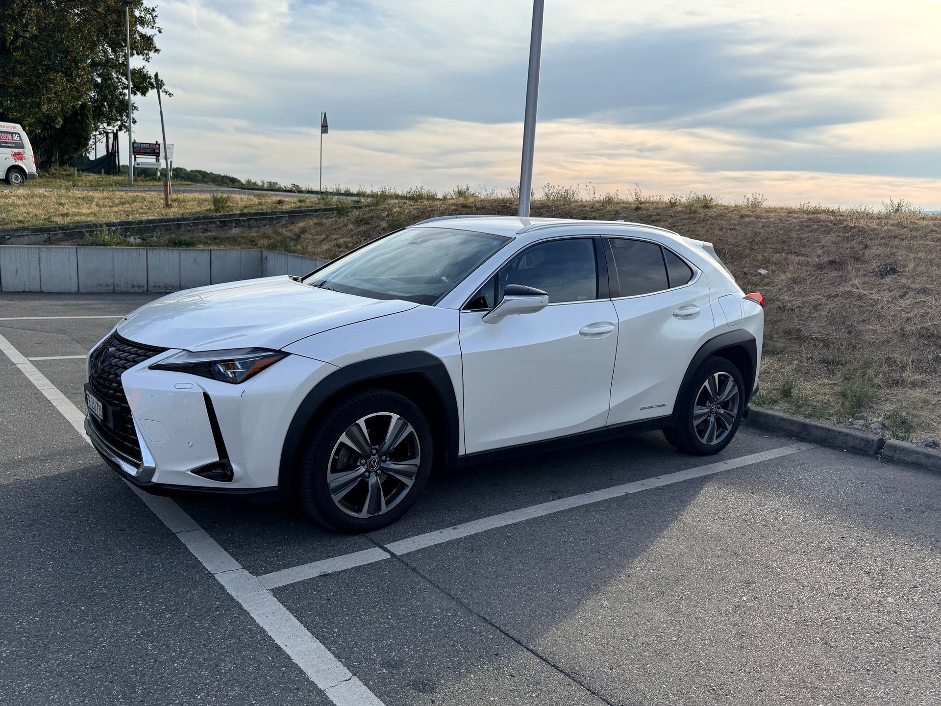 LEXUS 300e Excellence-image-0