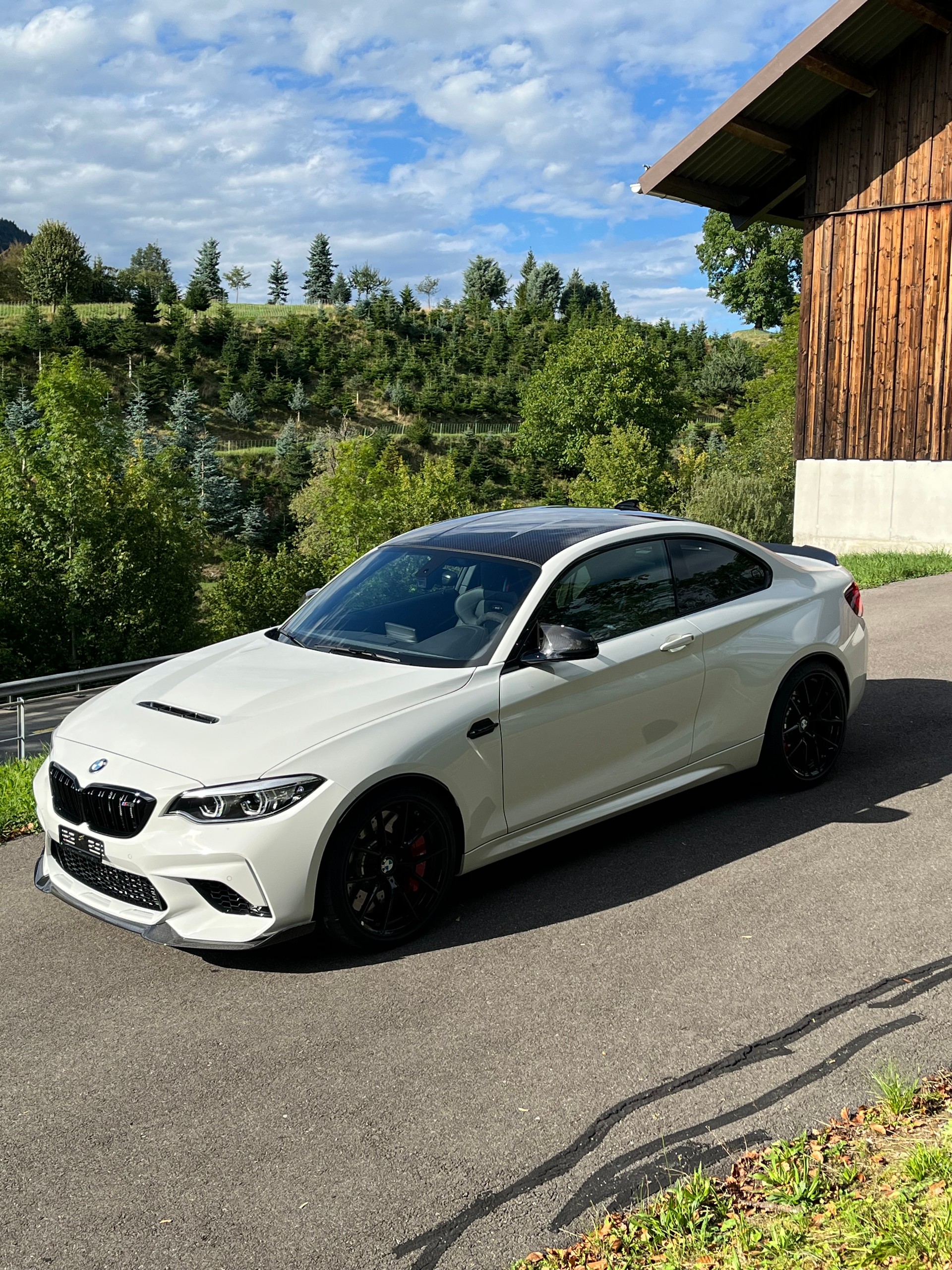 BMW M2 CS-image-2