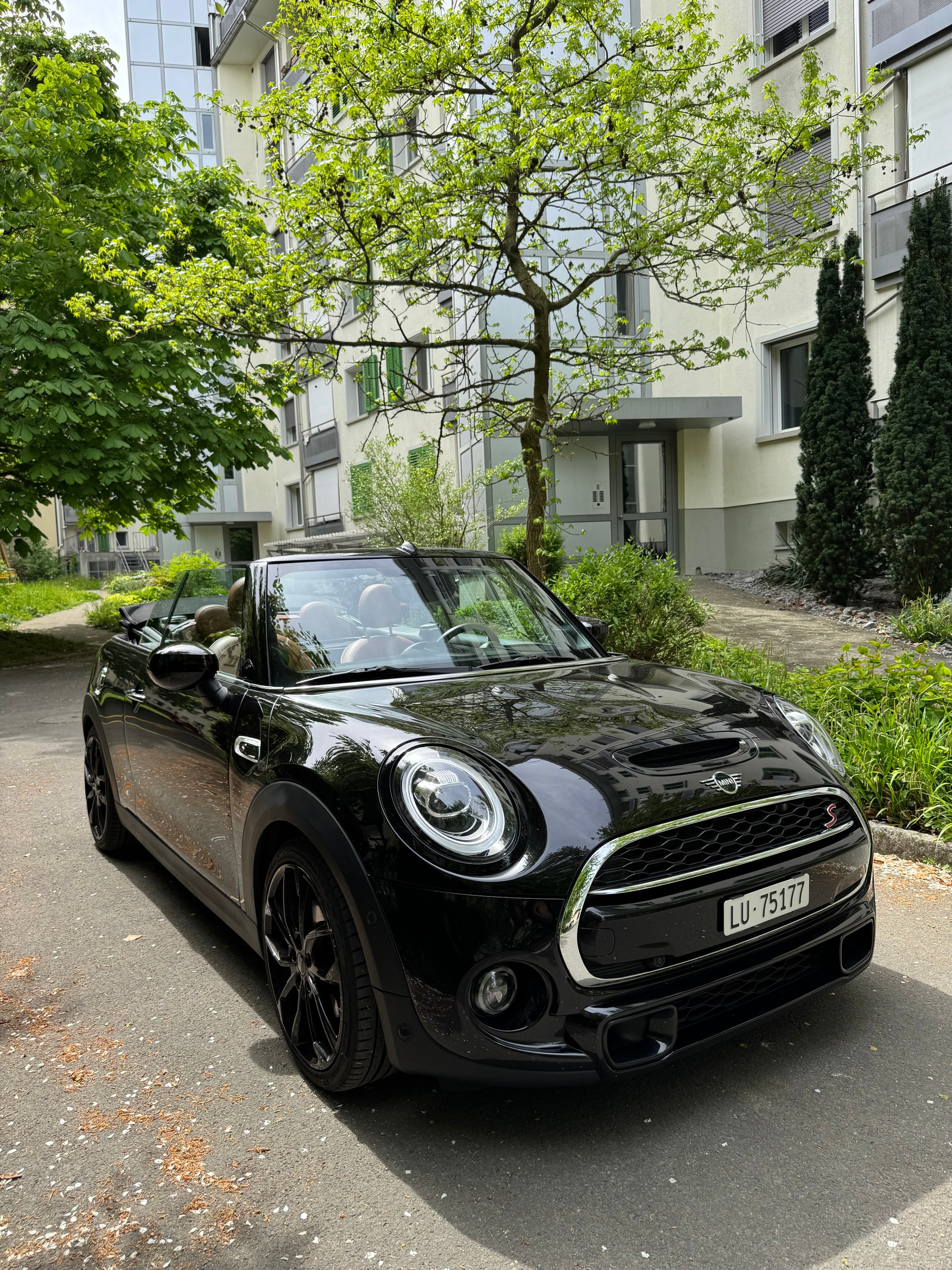 MINI Cooper S Cabriolet DKG-image-2