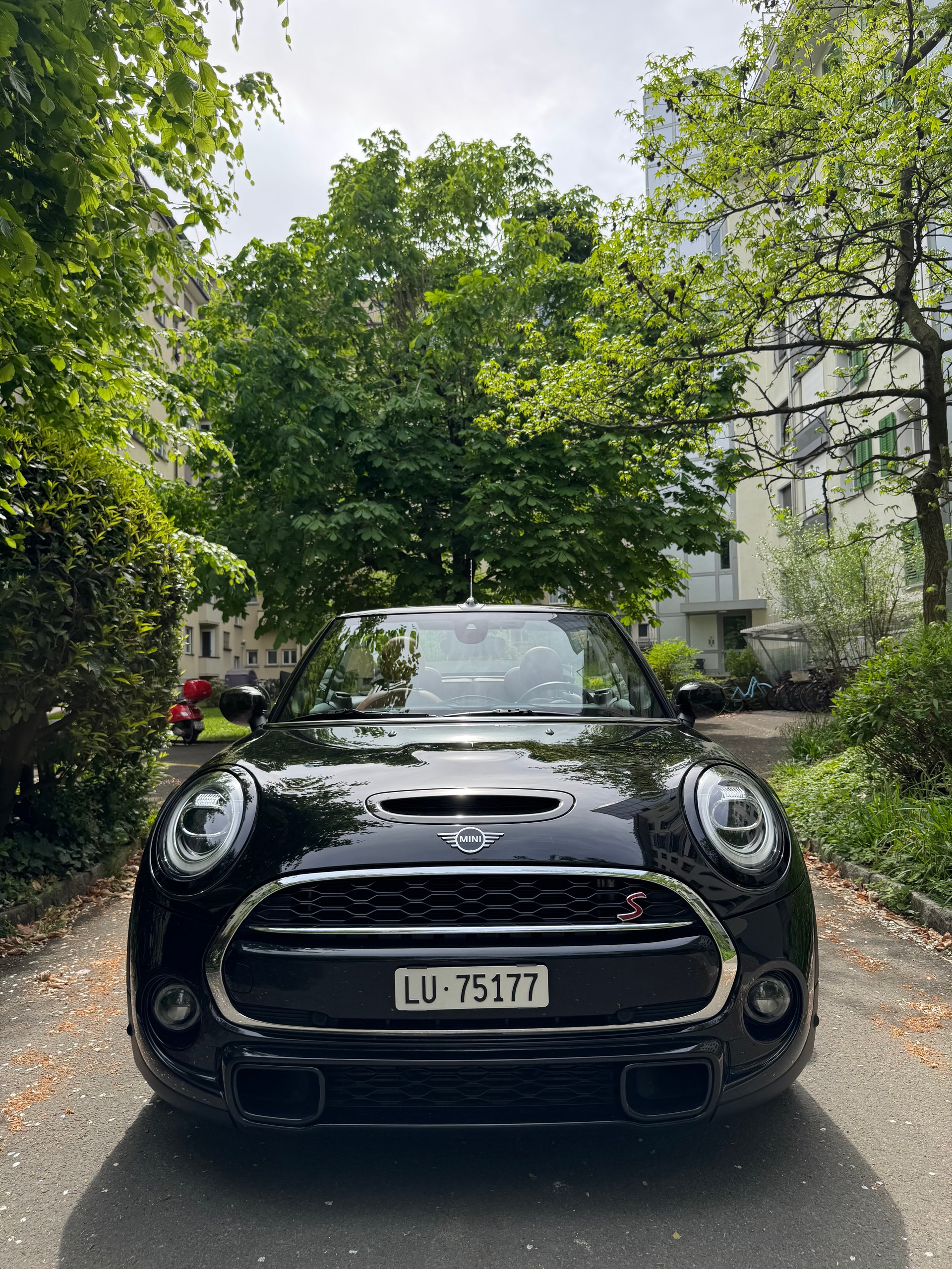 MINI Cooper S Cabriolet DKG-image-1