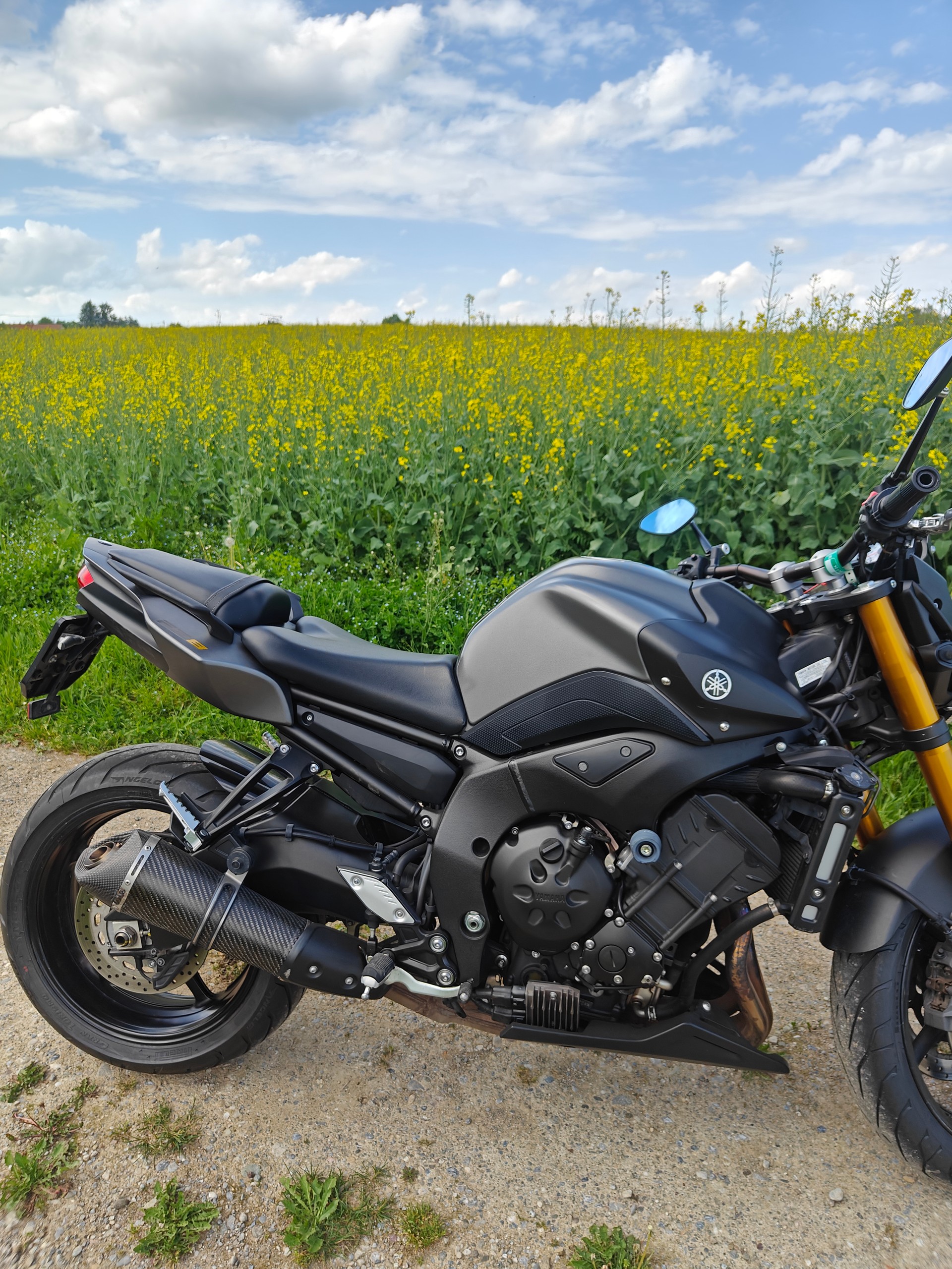 YAMAHA FZ8 N ABS Limited Edition-image-3