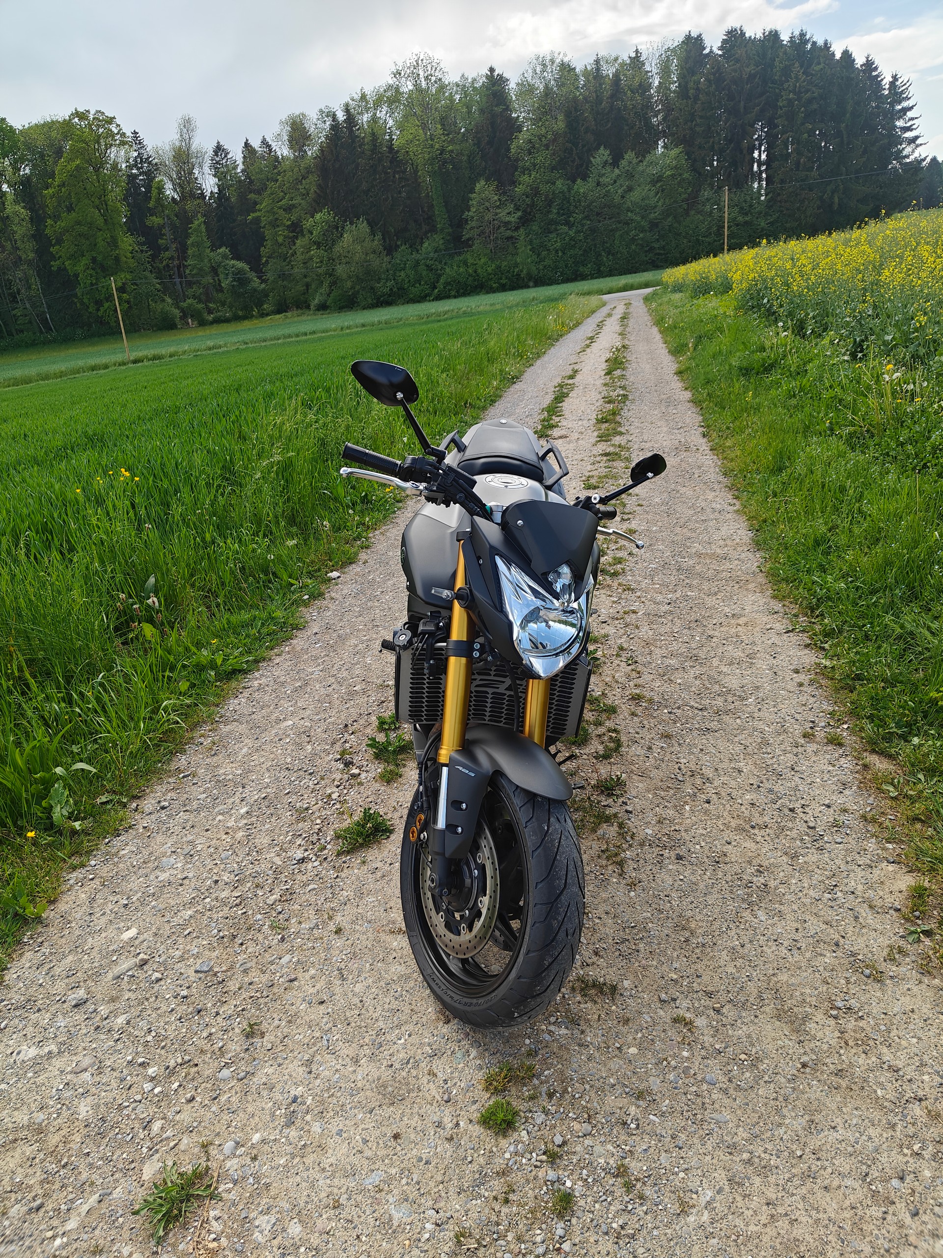 YAMAHA FZ8 N ABS Limited Edition-image-2