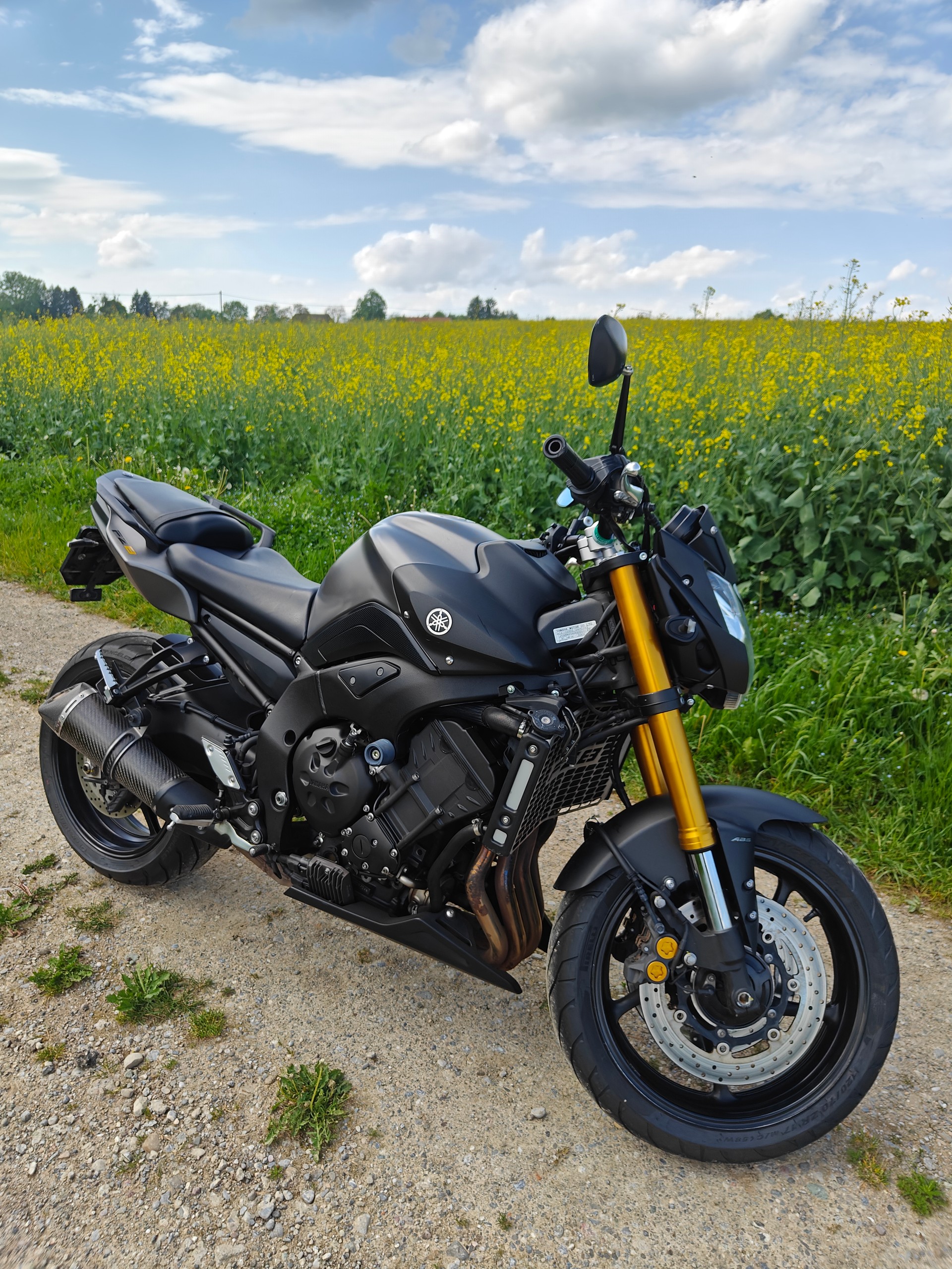 YAMAHA FZ8 N ABS Limited Edition-image-1
