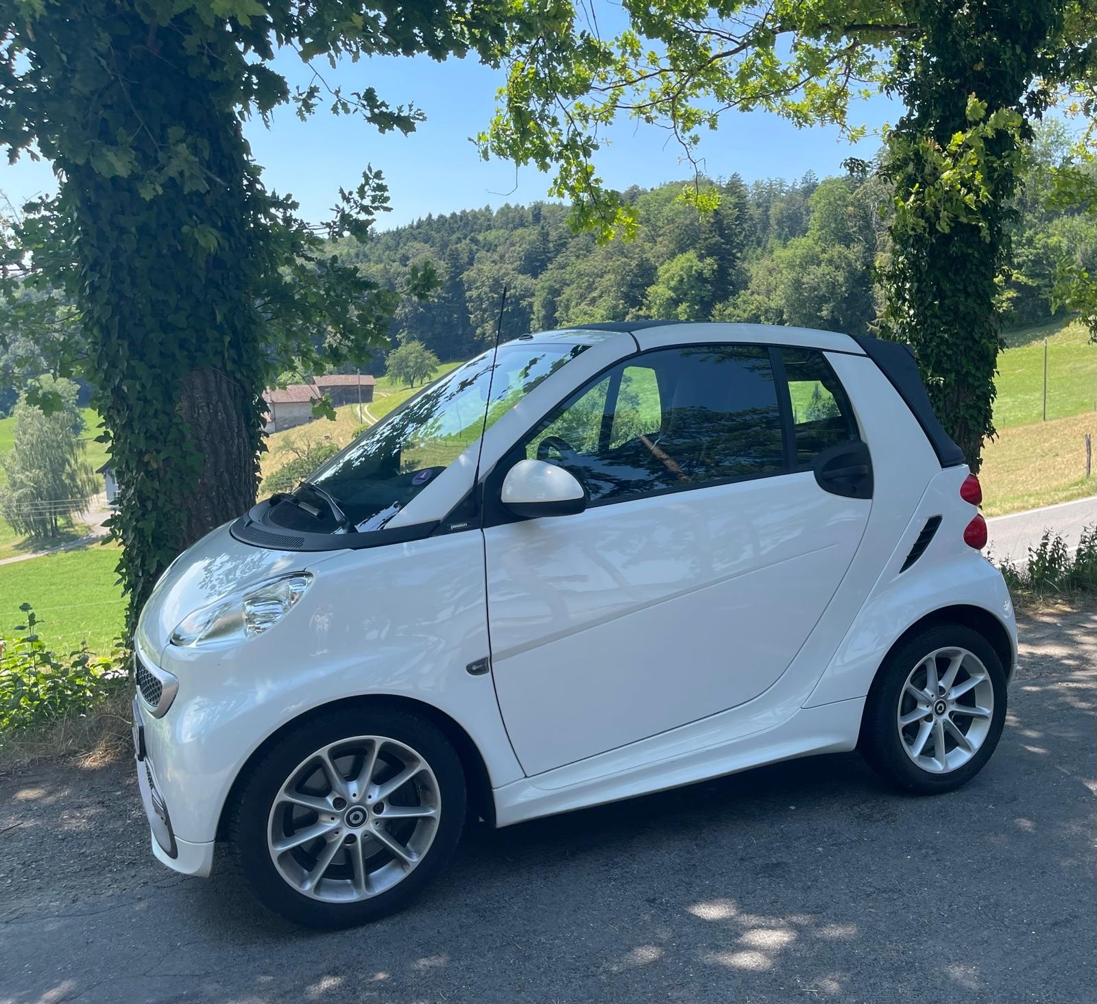 SMART 1000 84 Passion-image-0