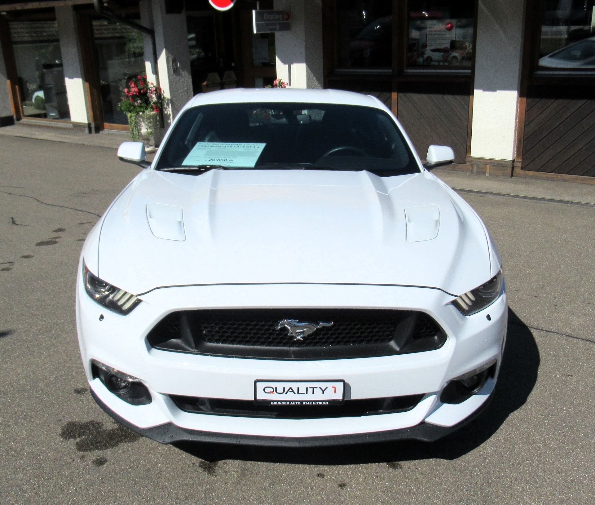 FORD Mustang Fastback 5.0 V8 GT-image-1