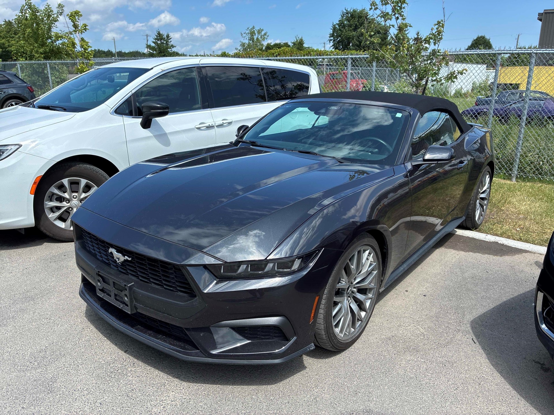 FORD Mustang 2.3 Automat-image-4