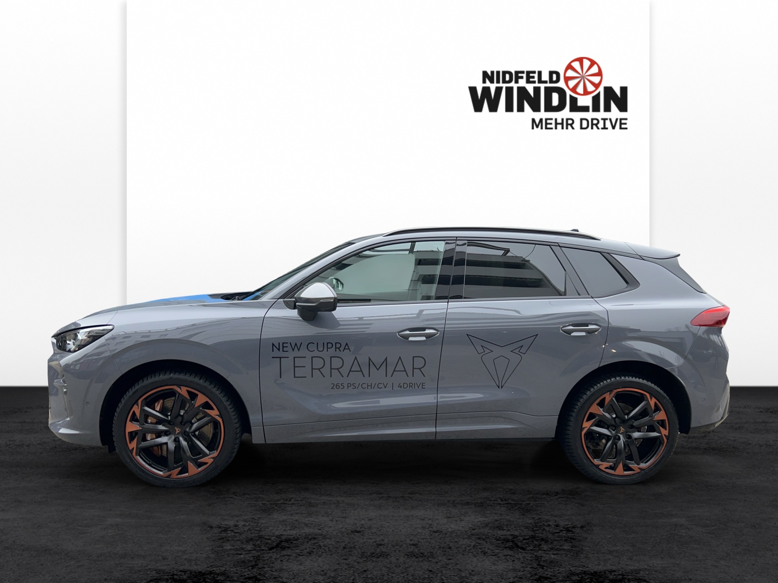 CUPRA TERRAMAR 265PS 4DRIVE-image-1