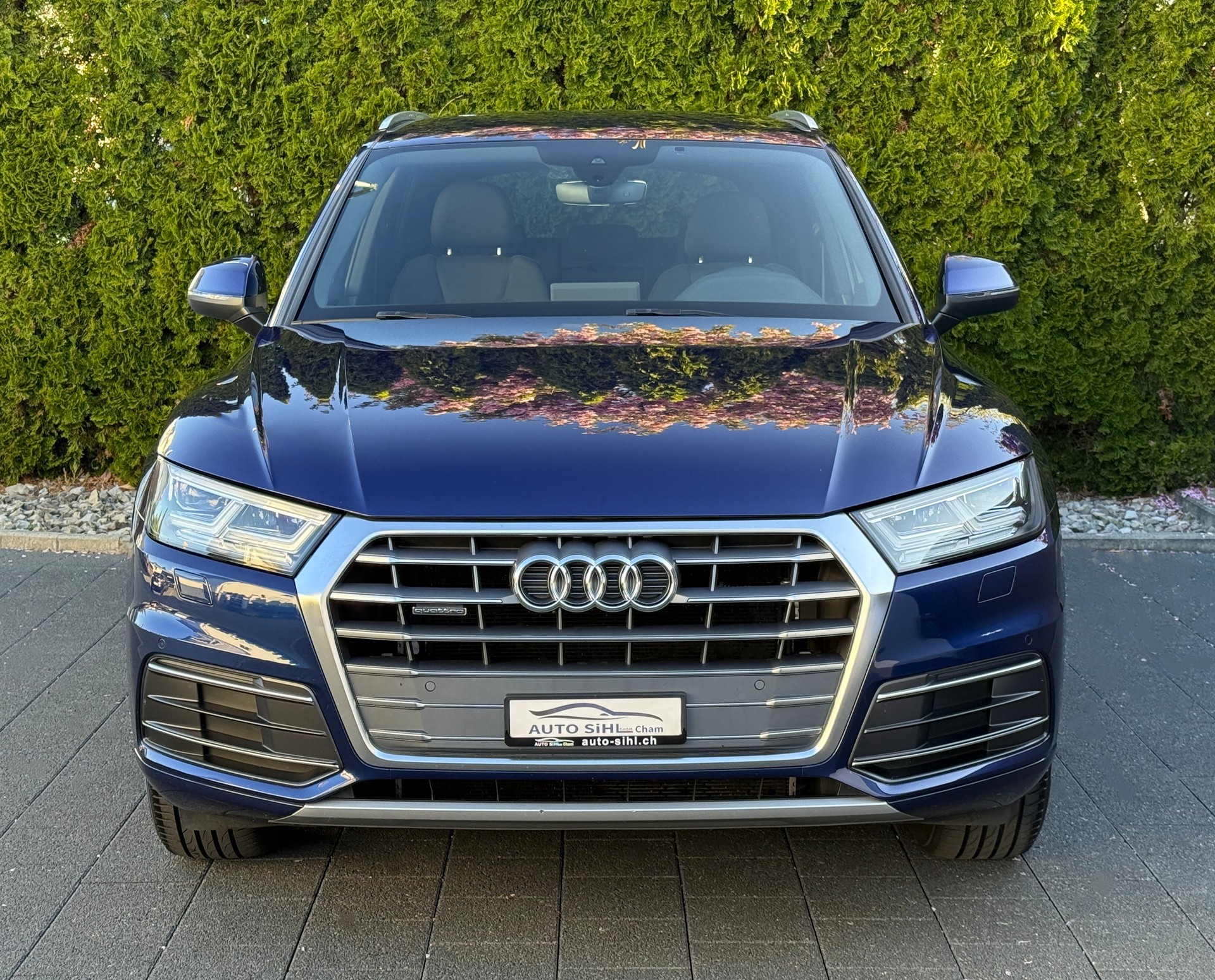 AUDI Q5 2.0 TDI sport quattro S-tronic-showroom-element-2