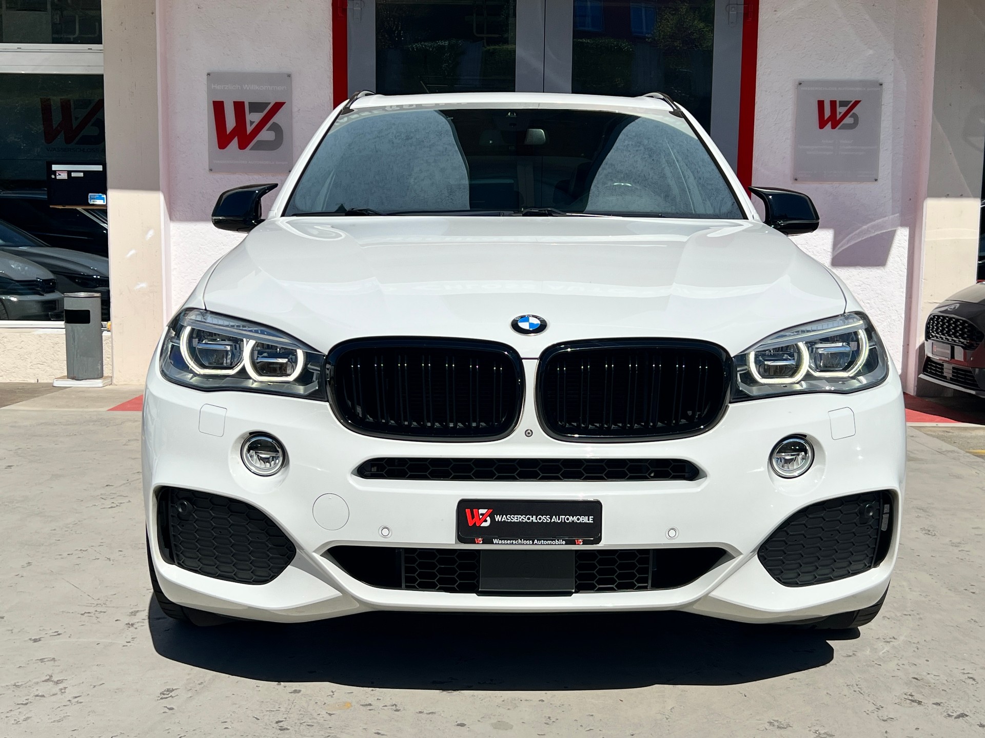 BMW X5 xDrive 40d Steptronic-image-2