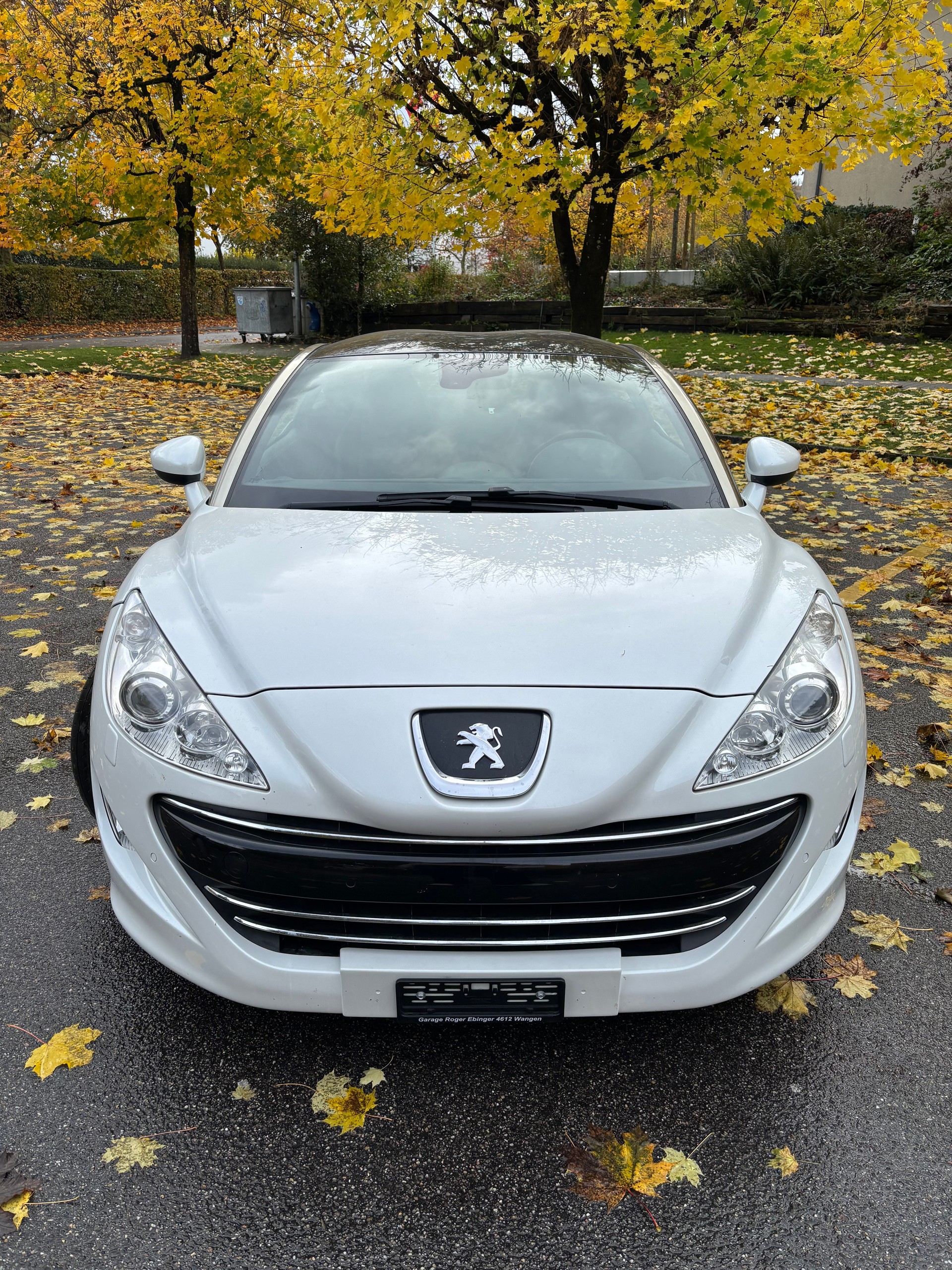 PEUGEOT 2.0 HDi-image-5