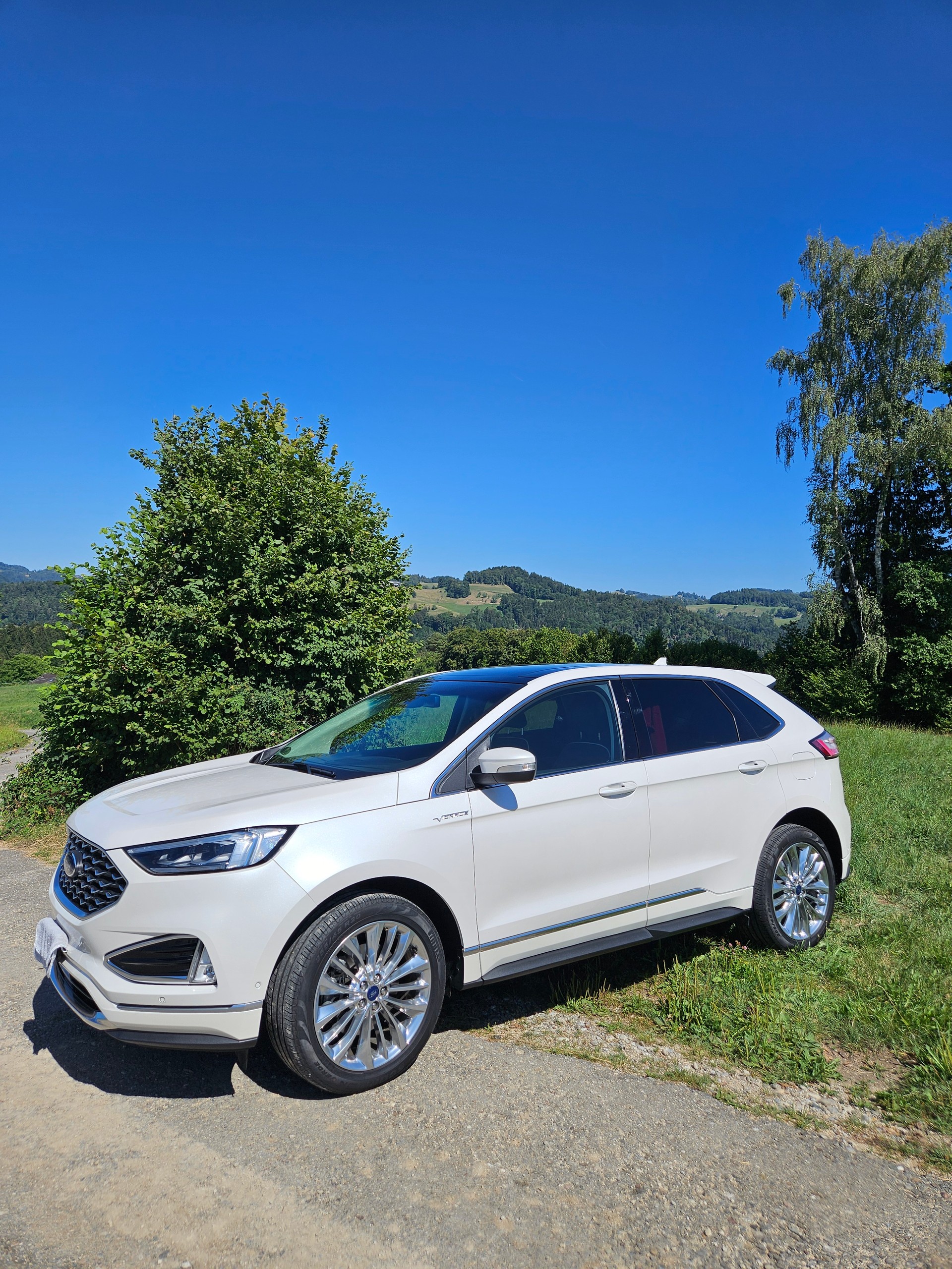 FORD 2.0 EcoBlue 238 Vignale-image-0