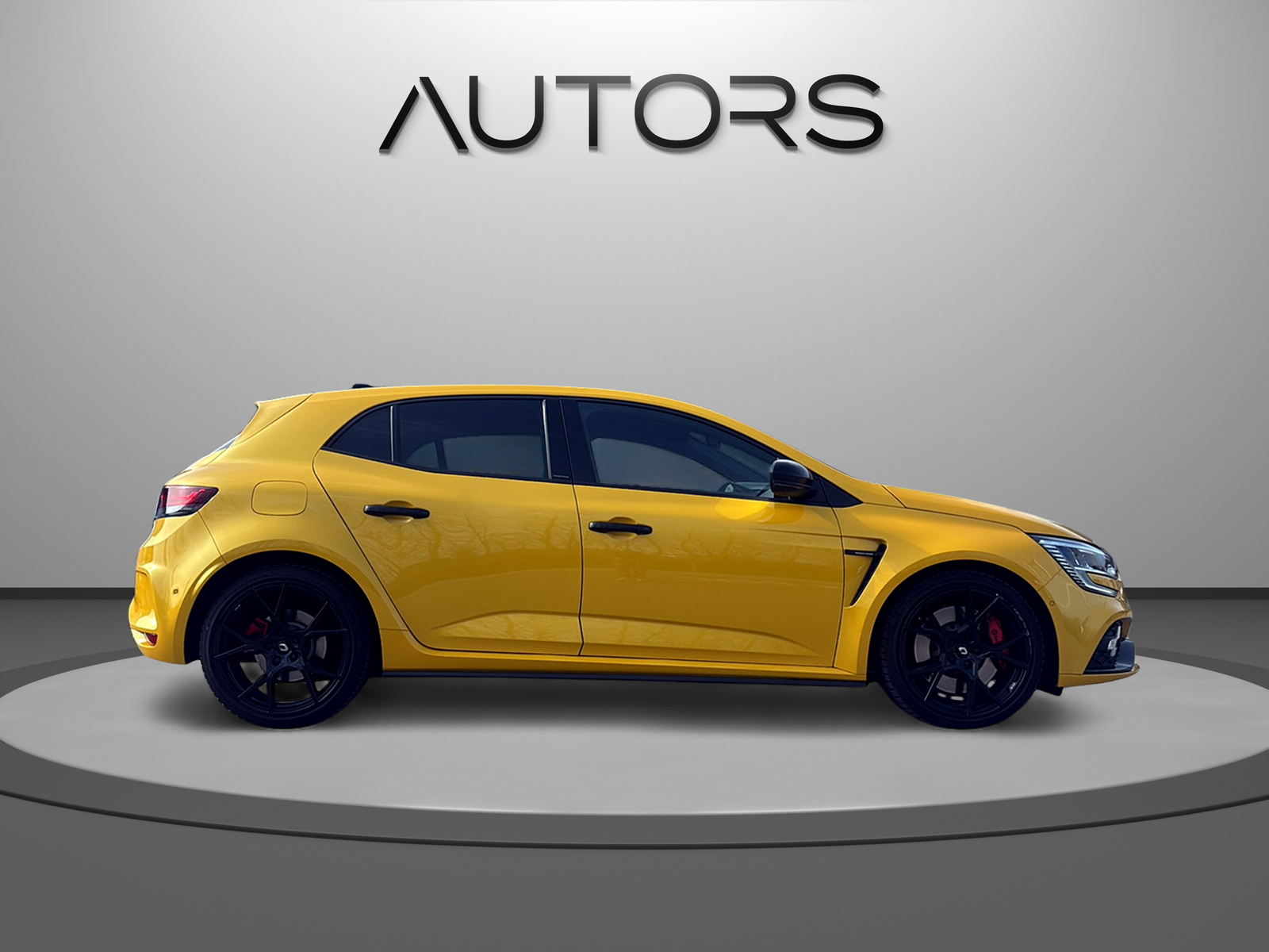 RENAULT Mégane R.S. Ultime 300 EDC-showroom-element-2