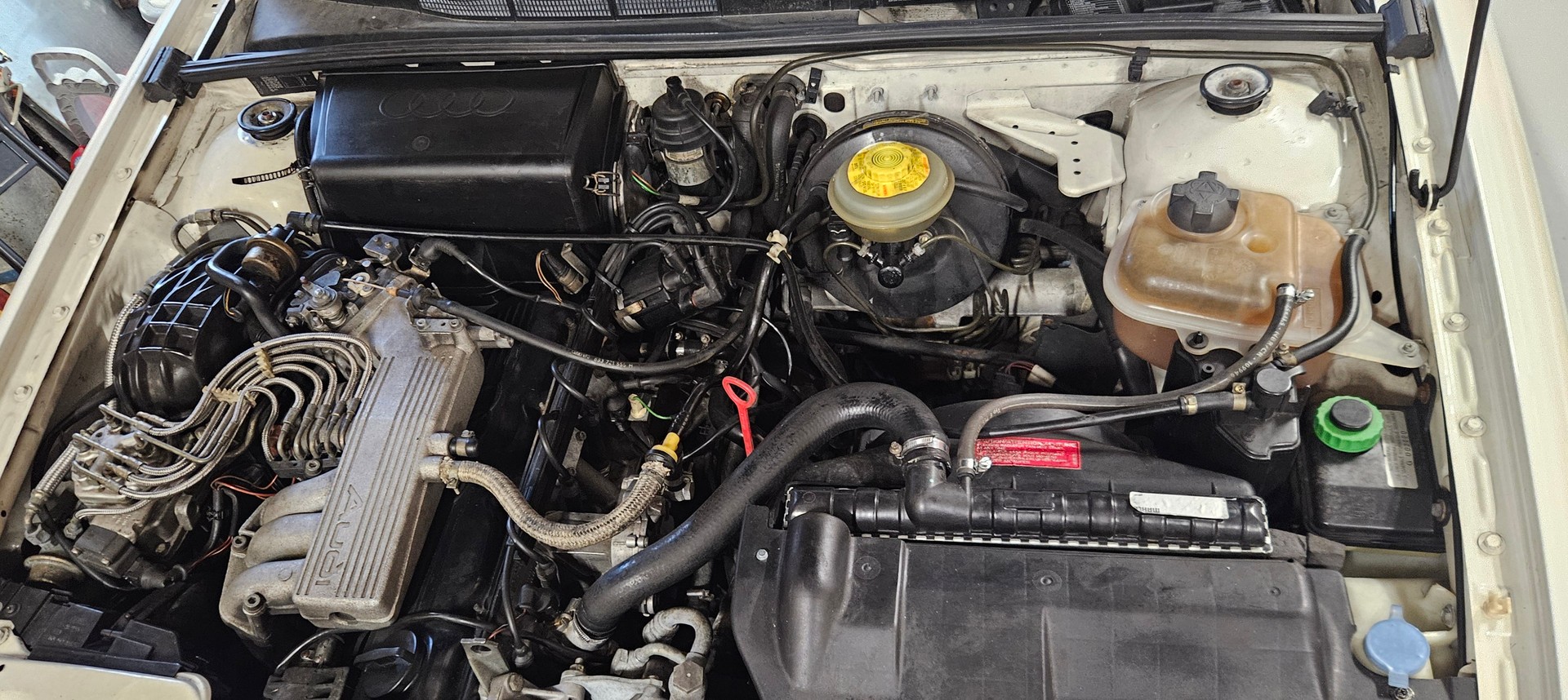 AUDI 2.3 GT-image-3
