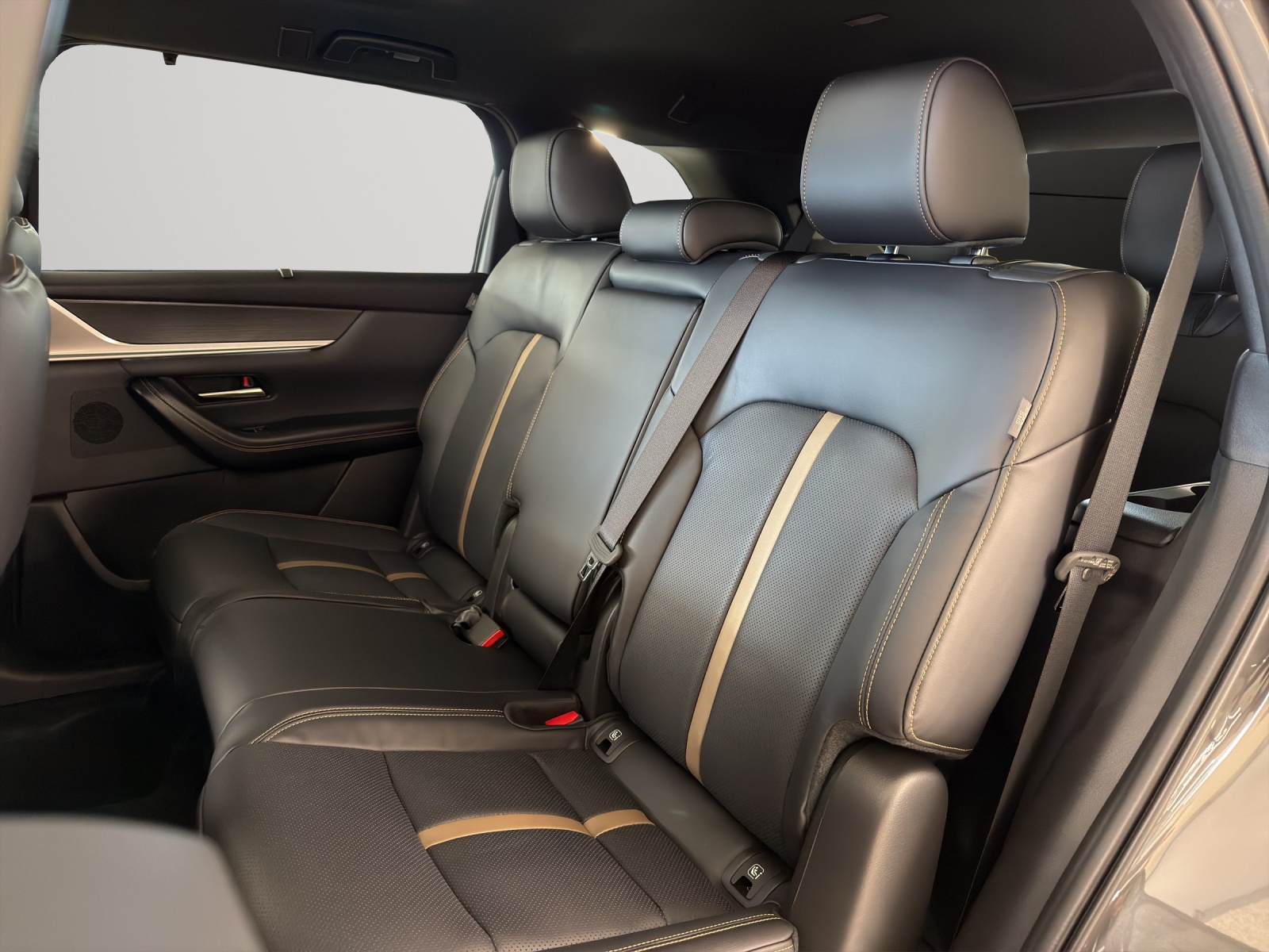 MAZDA CX-80 e-Skyactiv D254 MHEV AWD Homura Plus-image-9