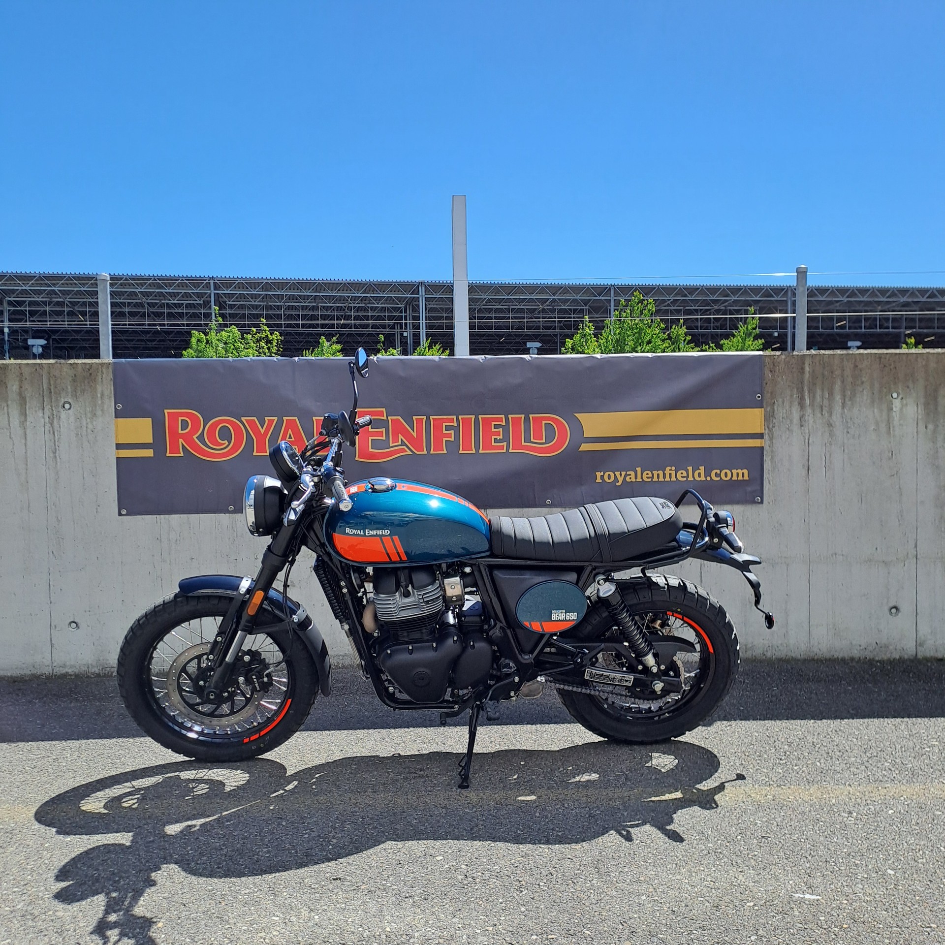 ROYAL ENFIELD BEAR 650-image-3