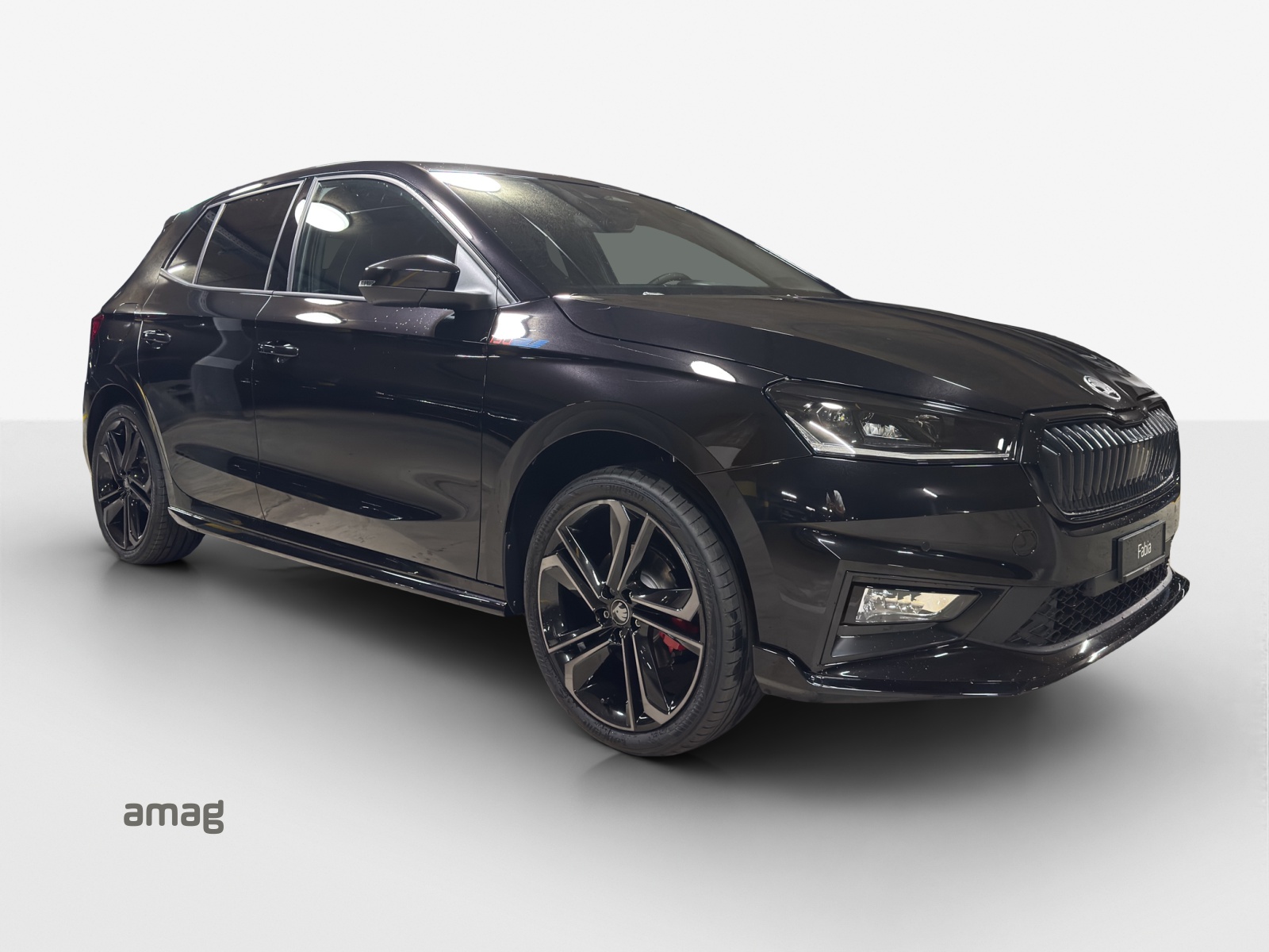 SKODA FABIA 130-image-5